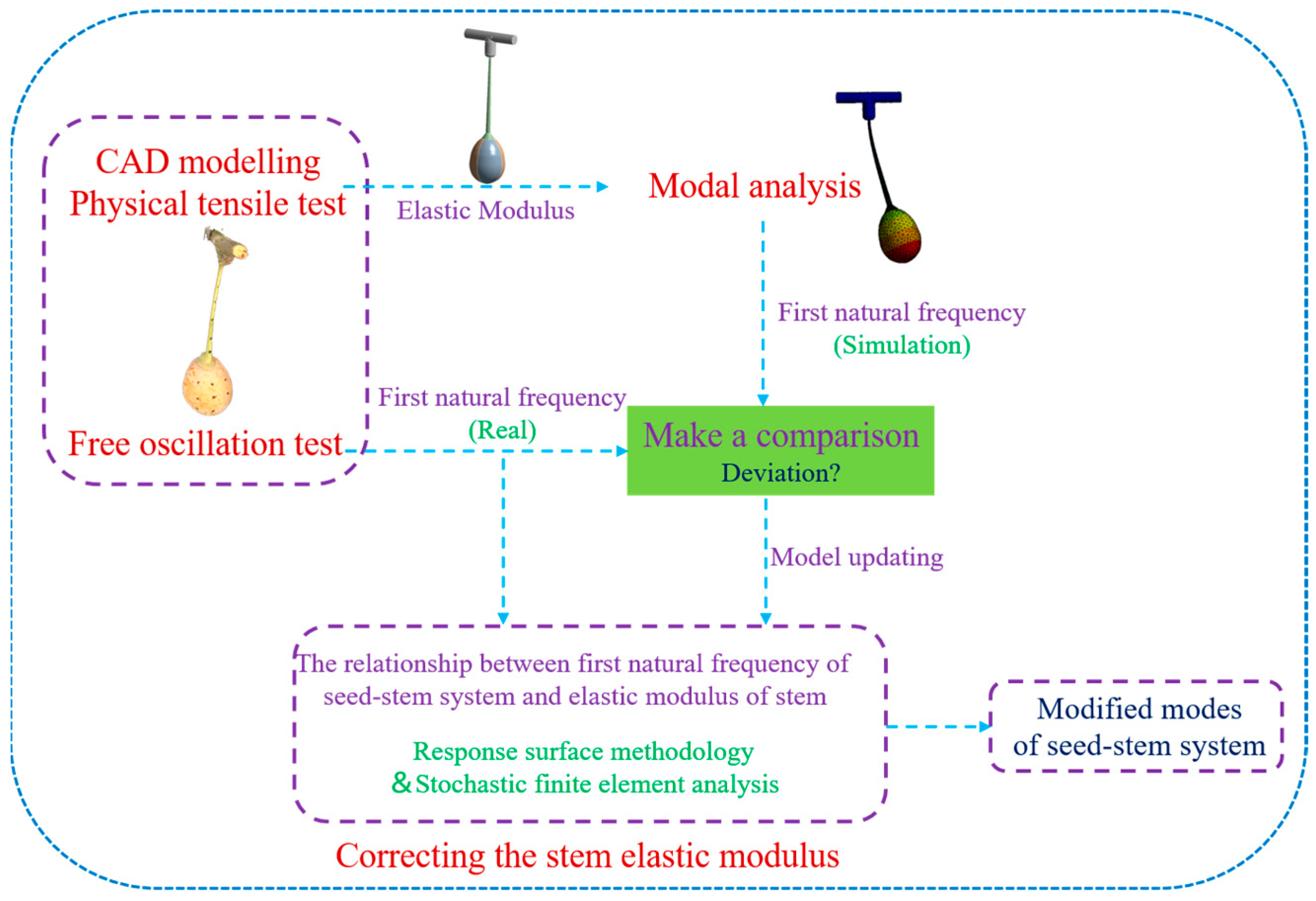 Forests 15 00178 g002