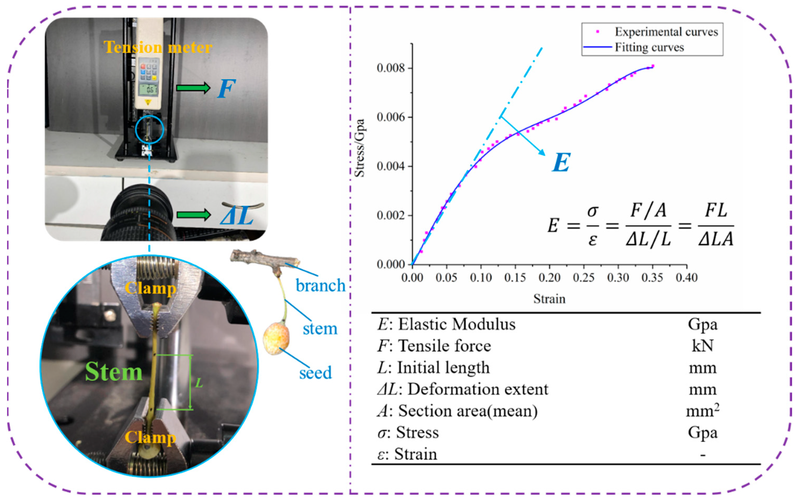 Forests 15 00178 g003