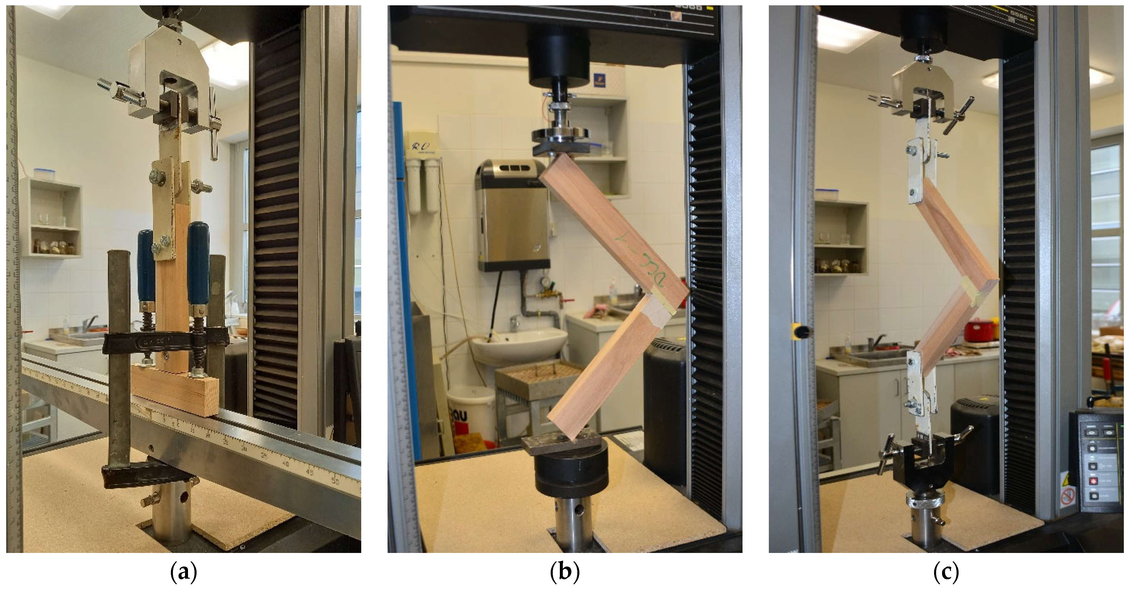 Forests 15 00343 g003