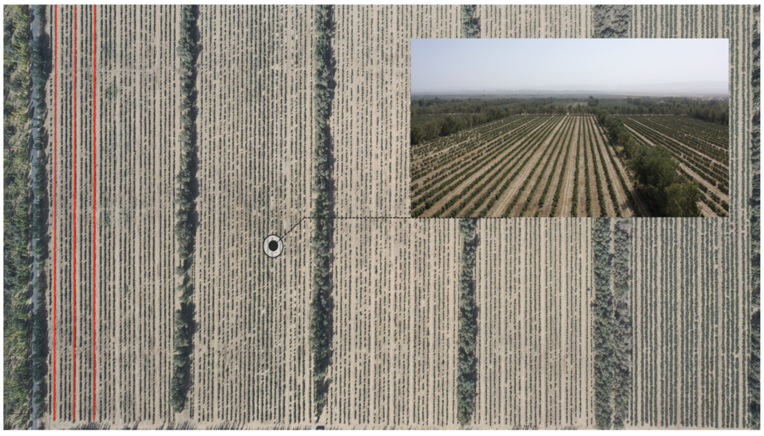 Forests 15 00625 g001