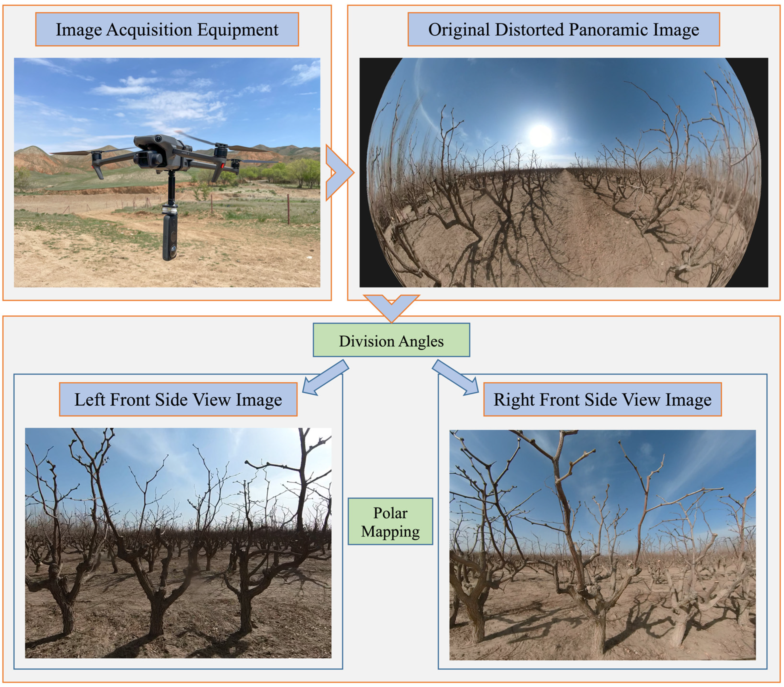 Forests 15 00625 g003
