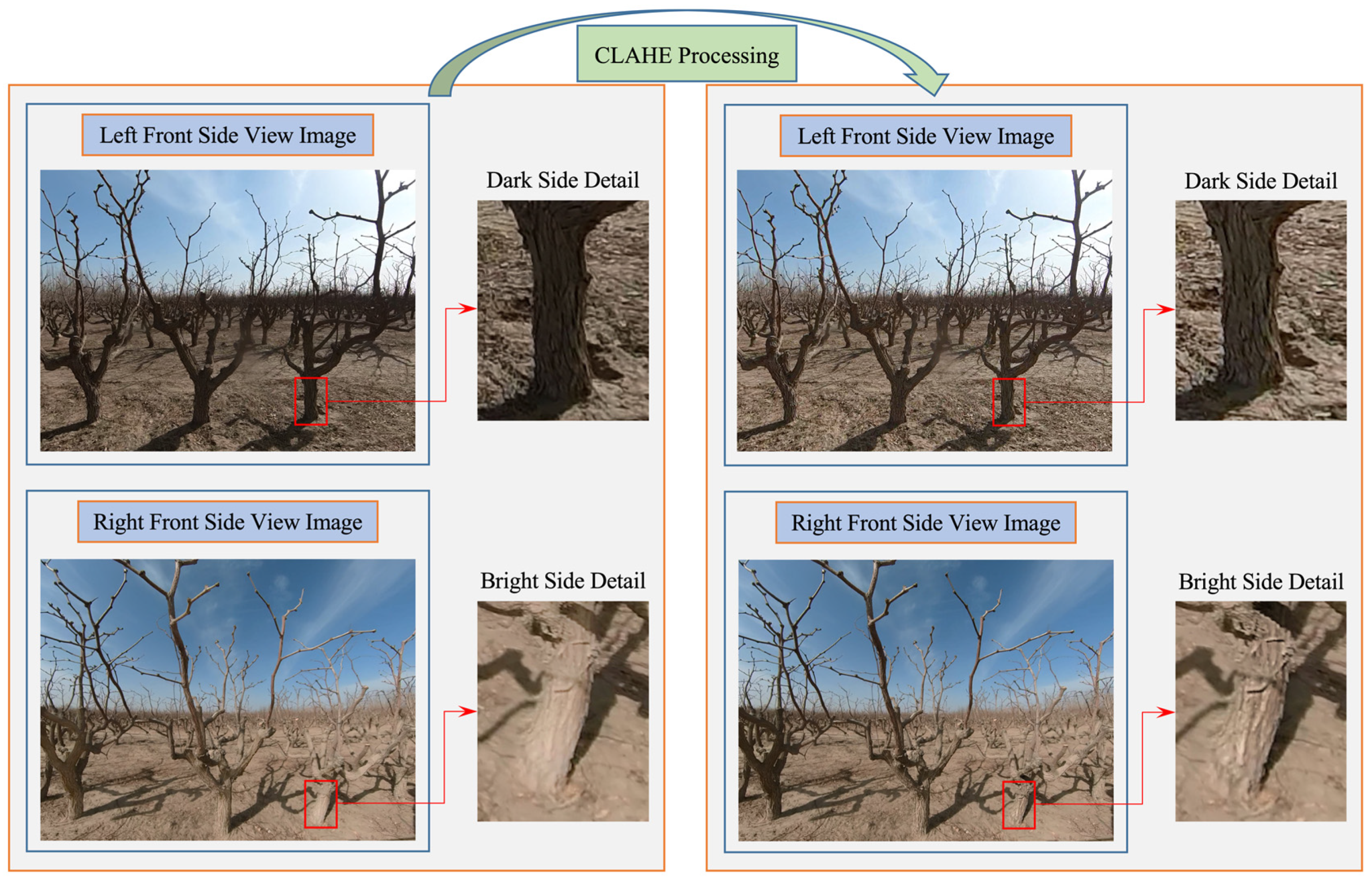 Forests 15 00625 g006