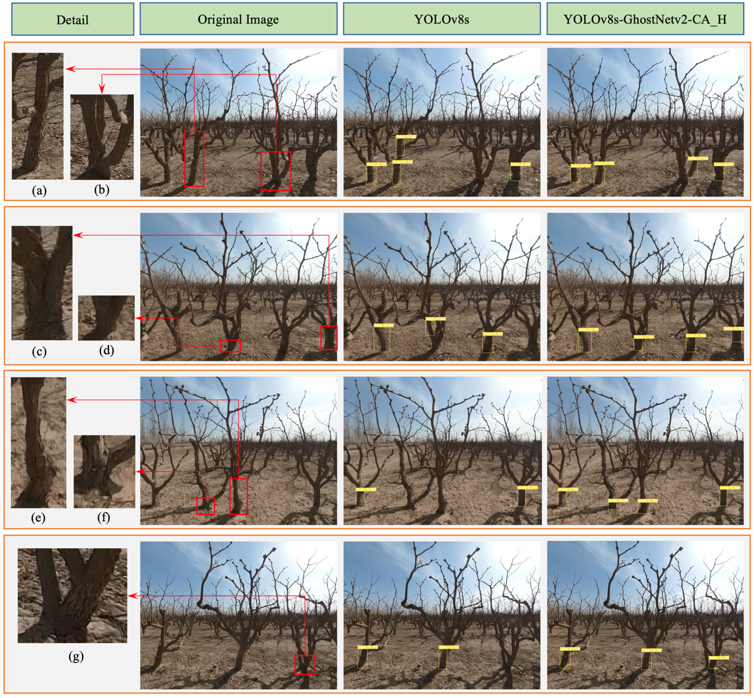 Forests 15 00625 g016
