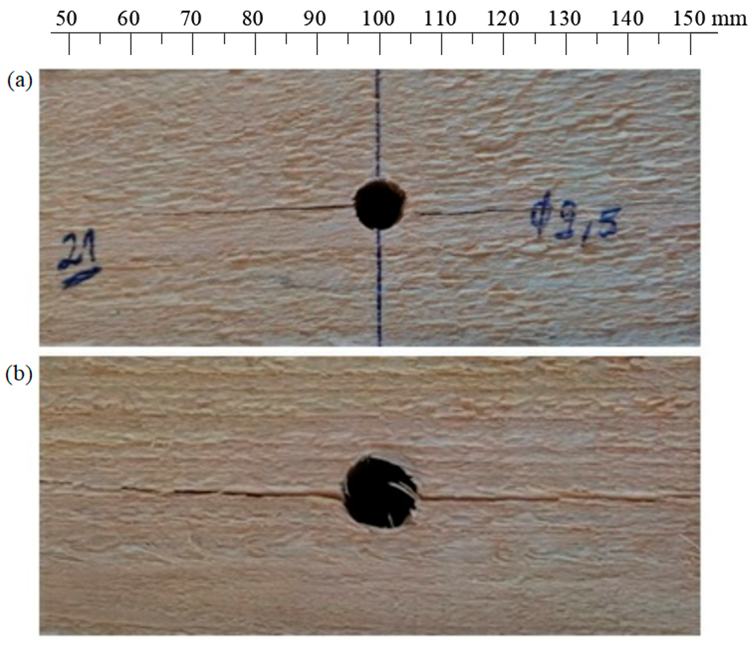Forests 15 00722 g007
