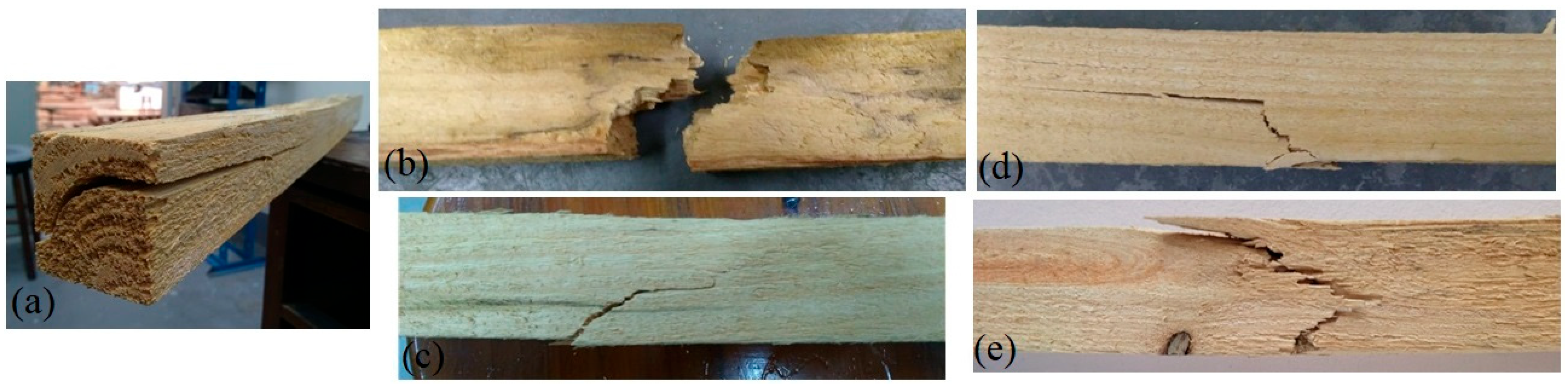 Forests 15 00722 g010