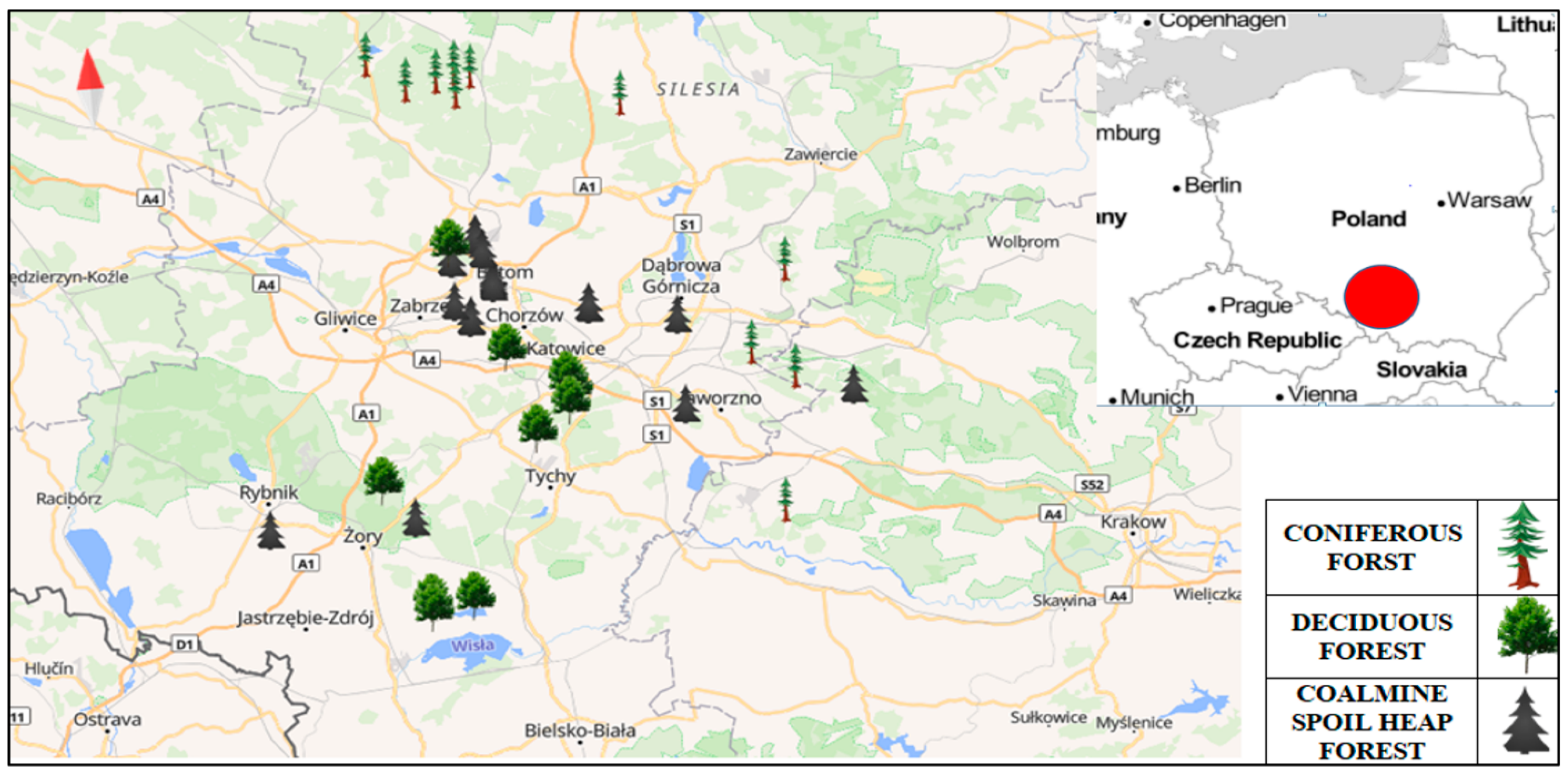 Forests 15 00730 g001