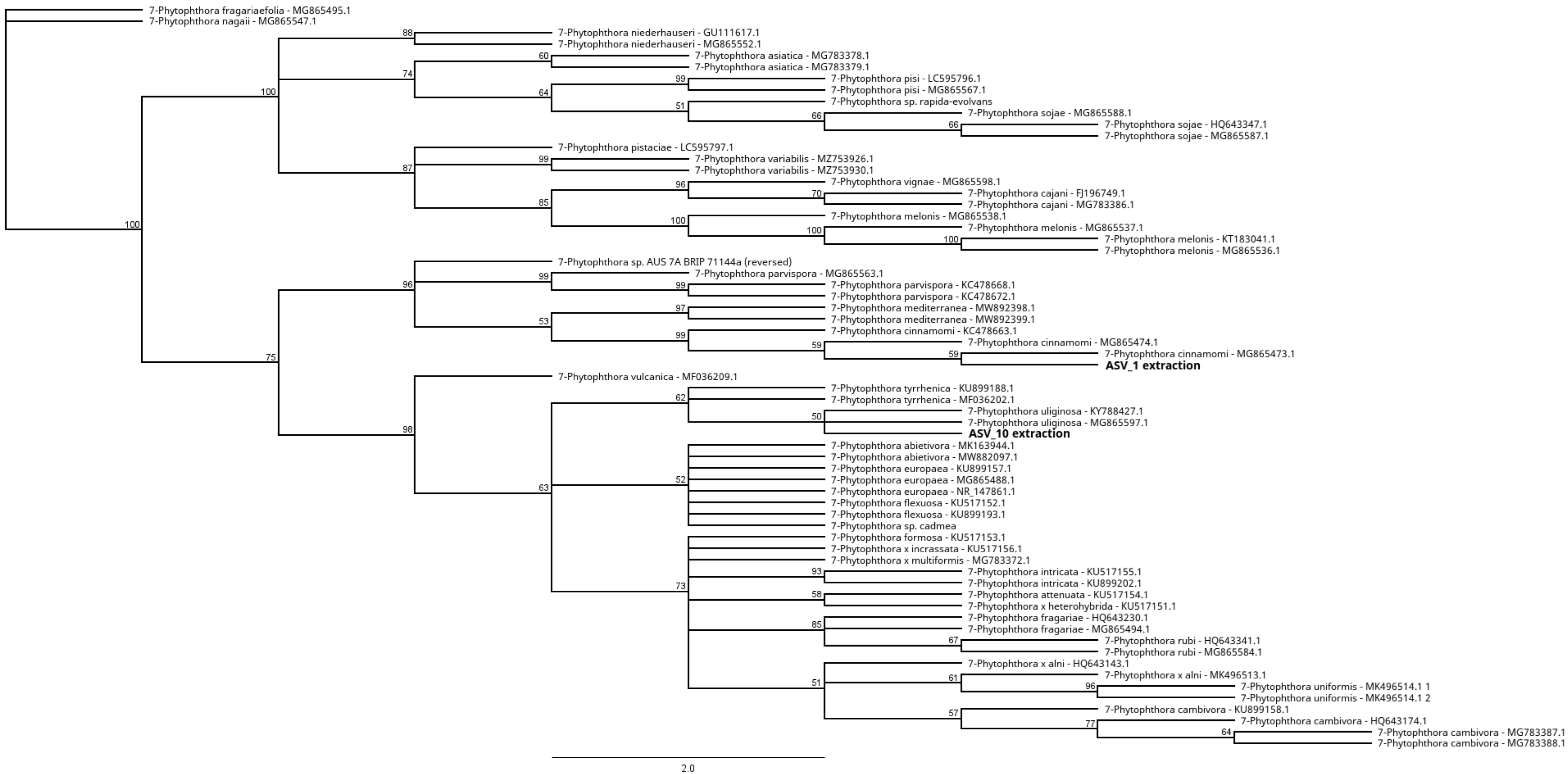 Forests 15 00735 g003