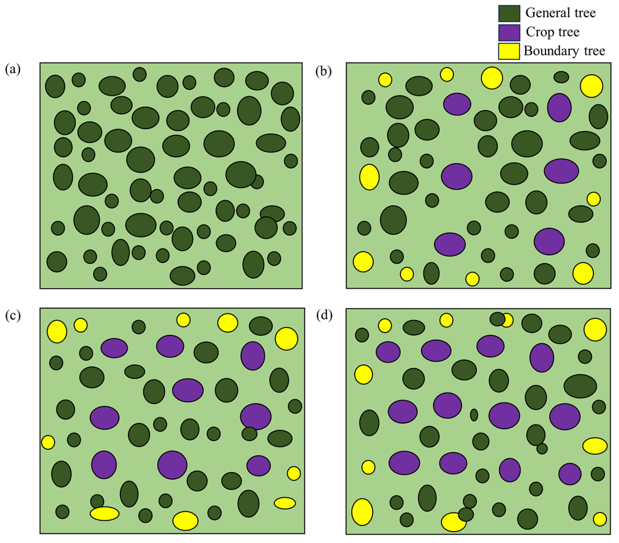 Forests 15 00743 g001