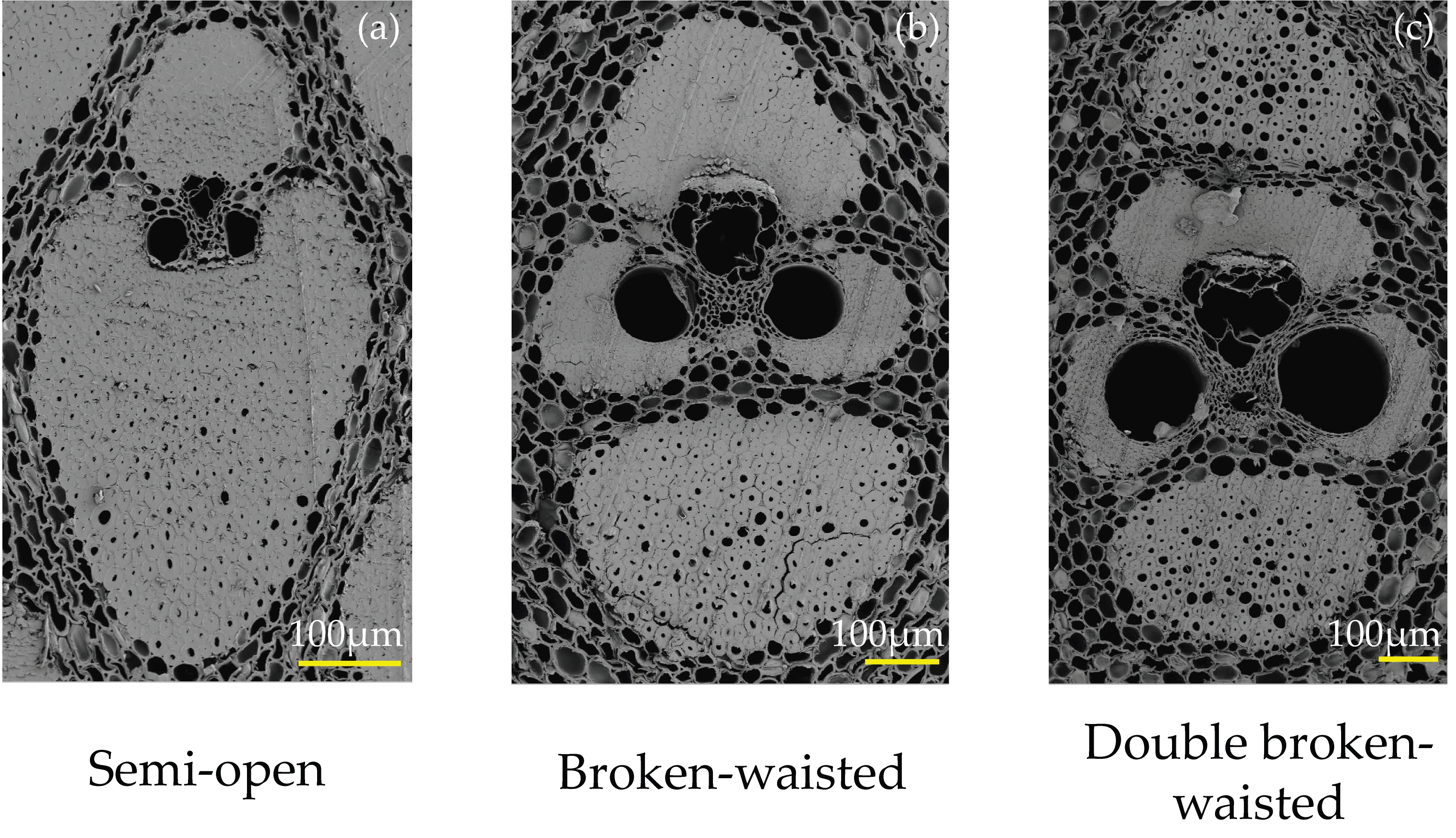 Forests 15 00762 g005