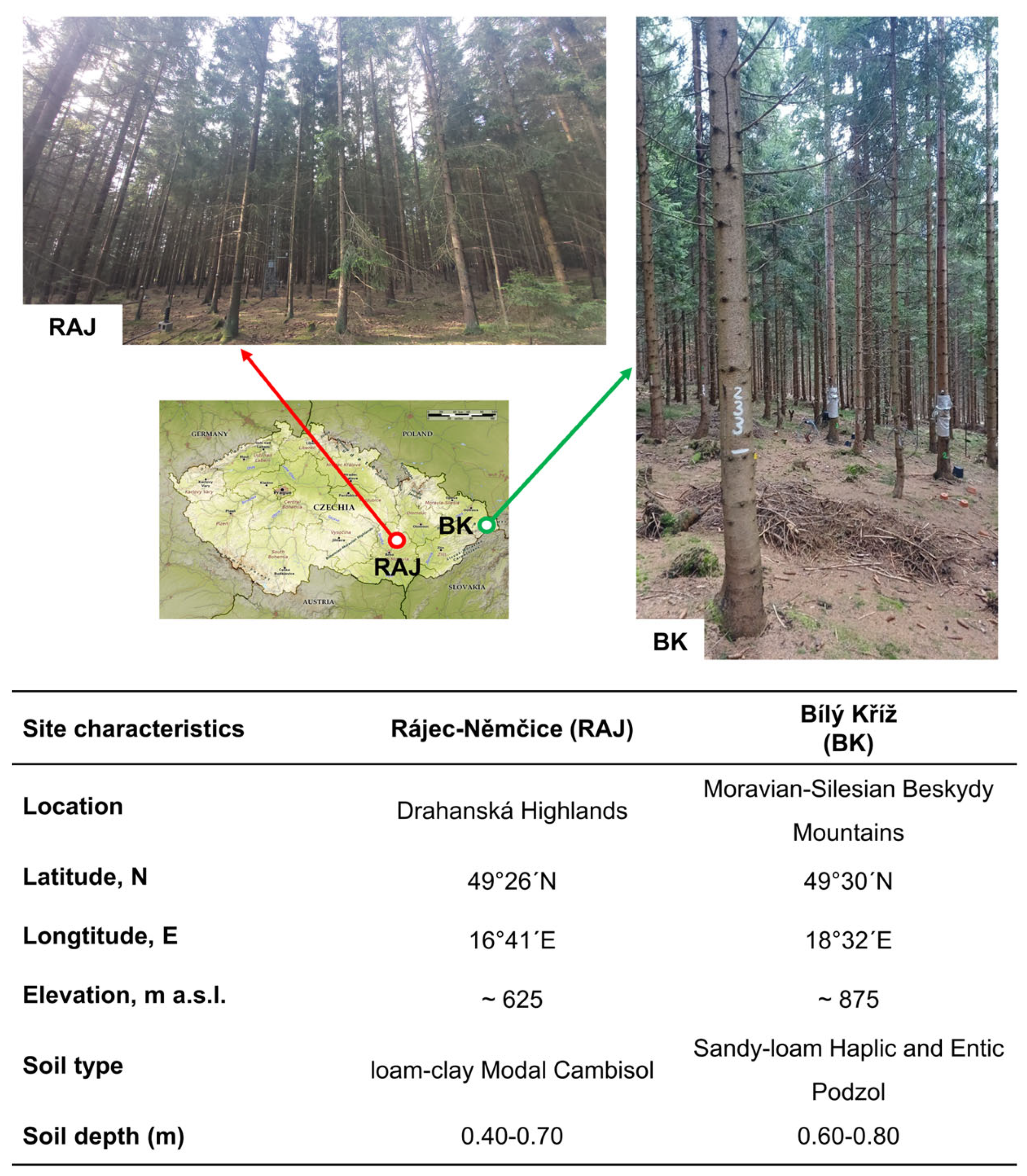 Forests 15 00784 g0a1