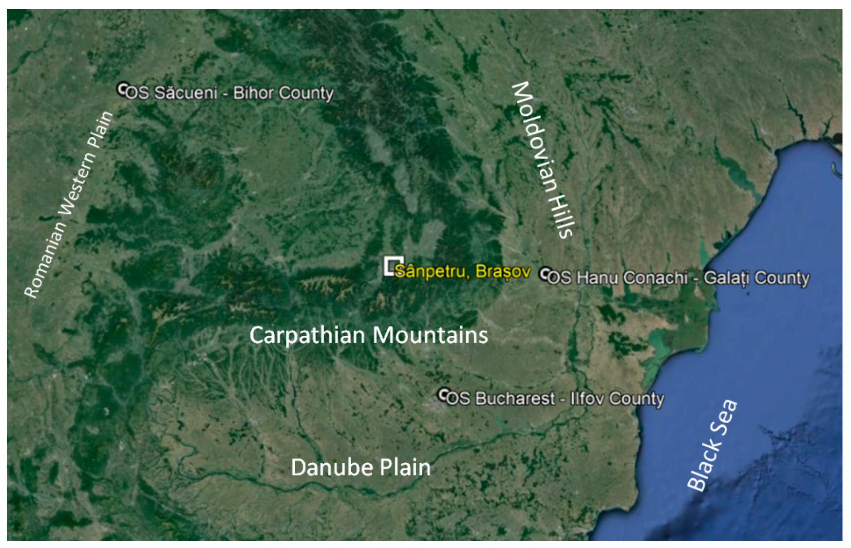 Forests 15 00785 g001