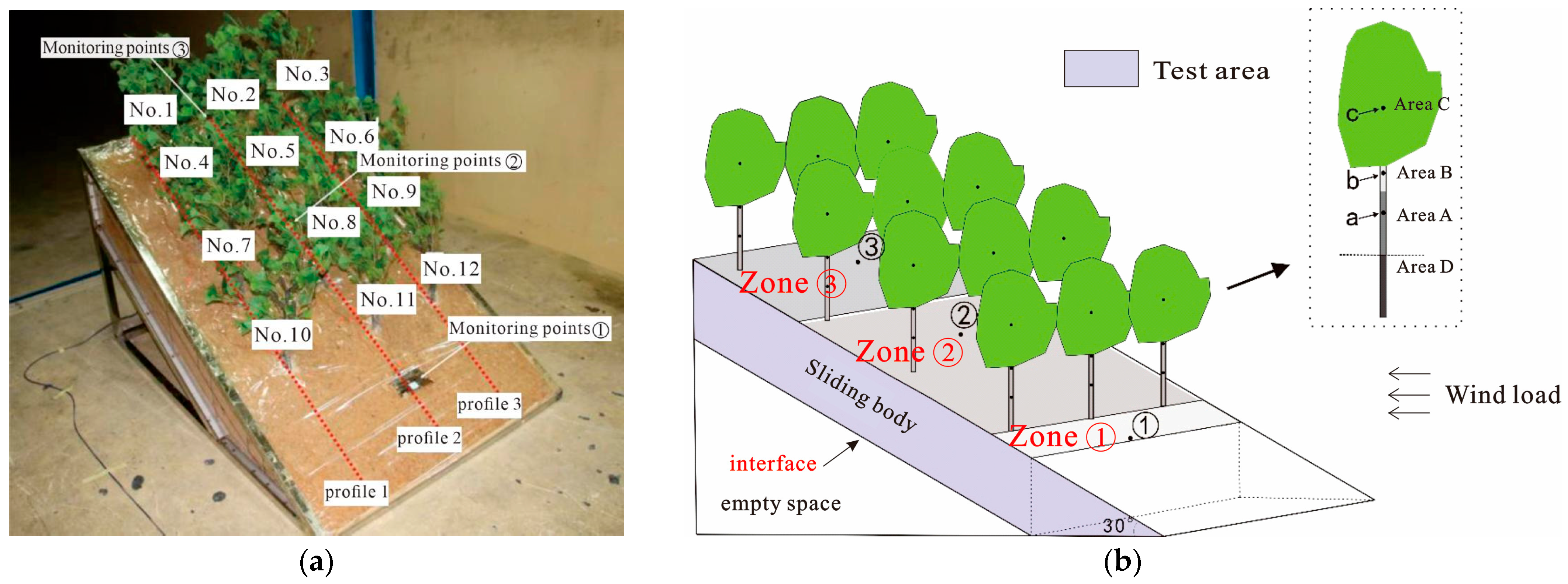 Forests 15 00791 g005