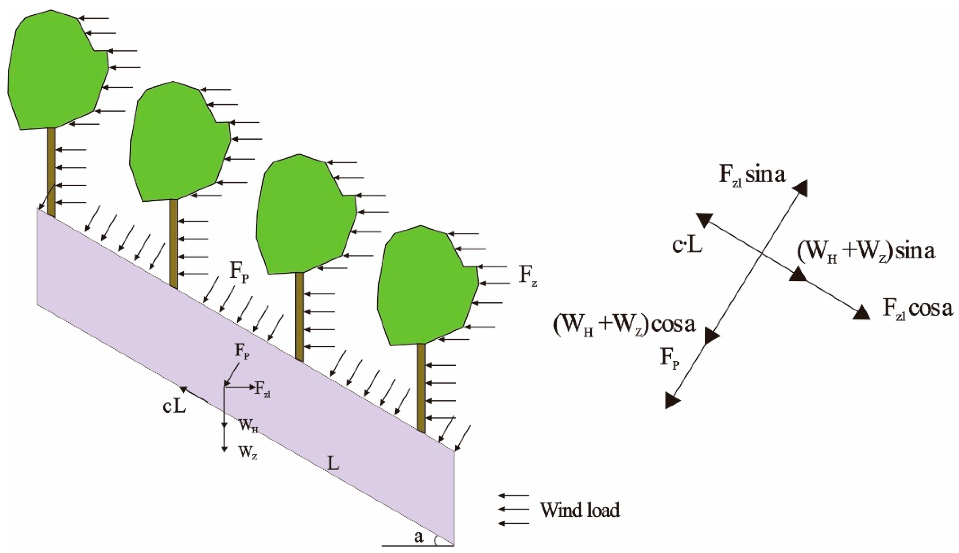 Forests 15 00791 g006