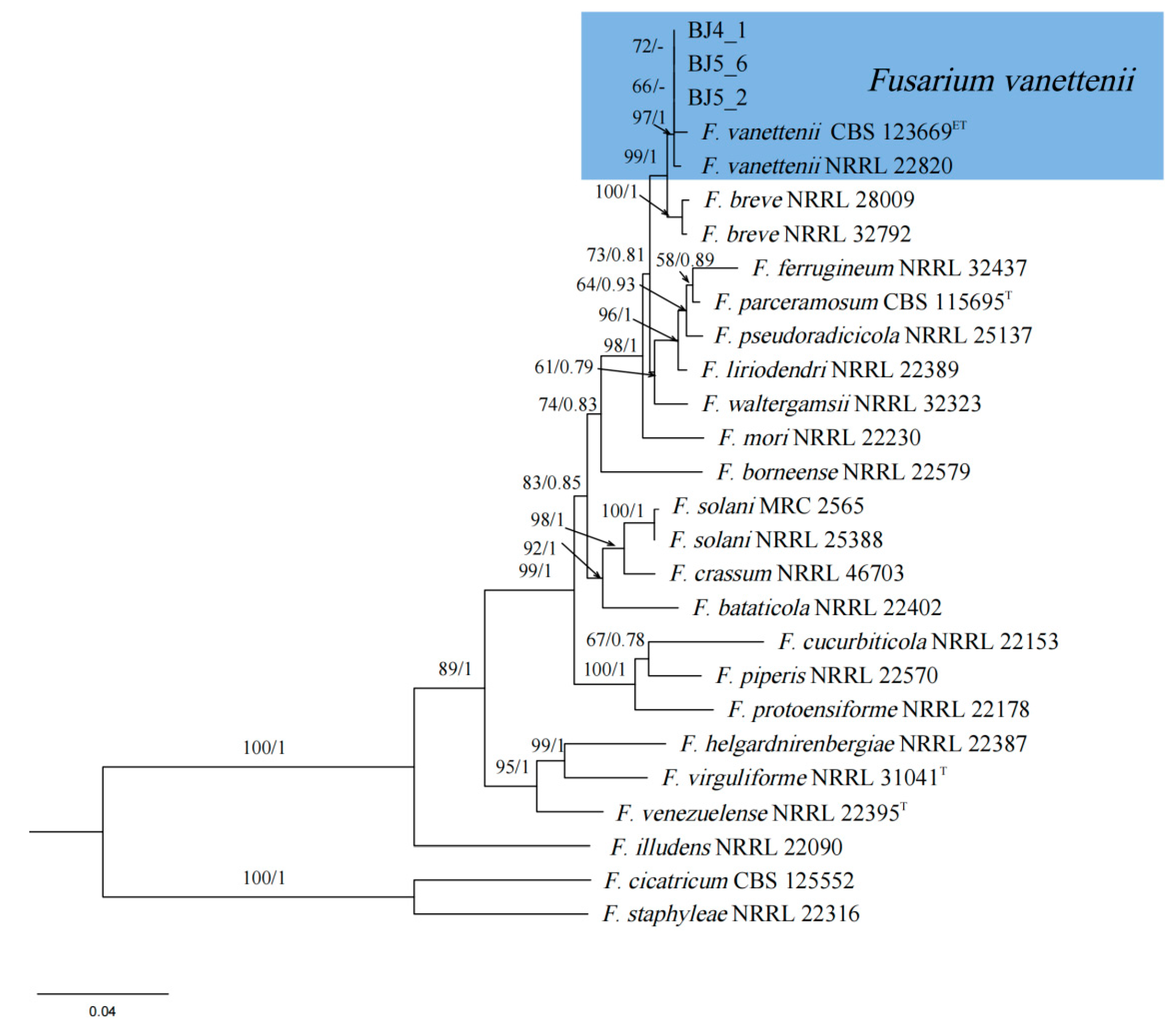 Forests 15 00805 g003