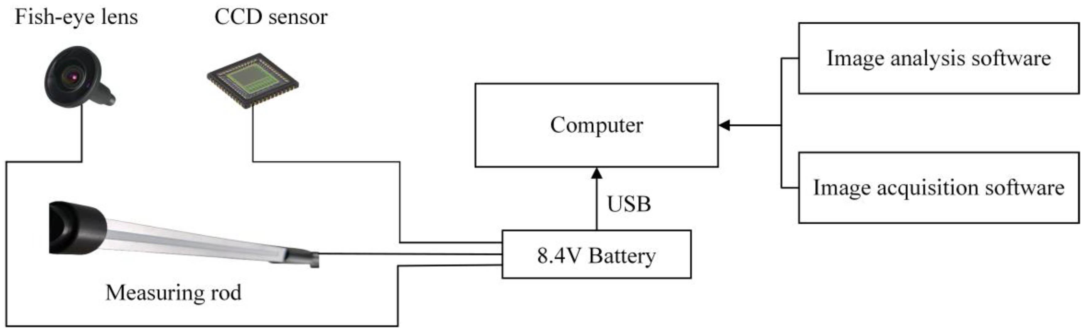 Forests 15 00823 g003