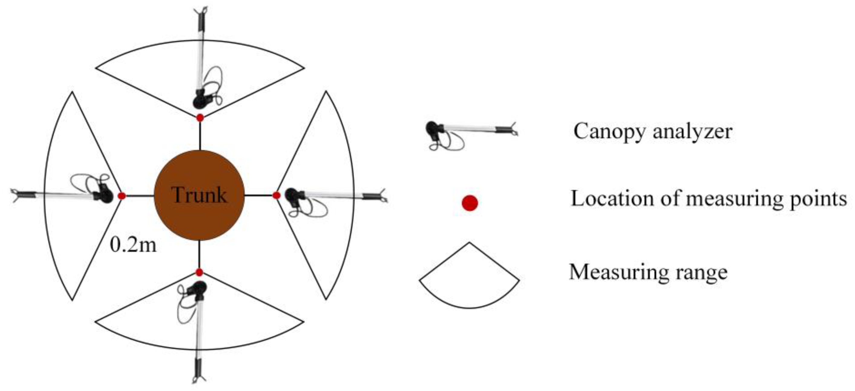 Forests 15 00823 g005
