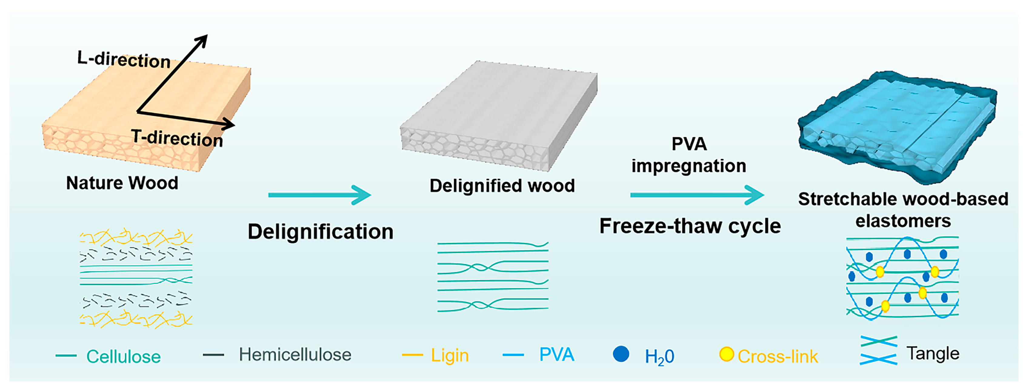 Forests 15 00836 g001