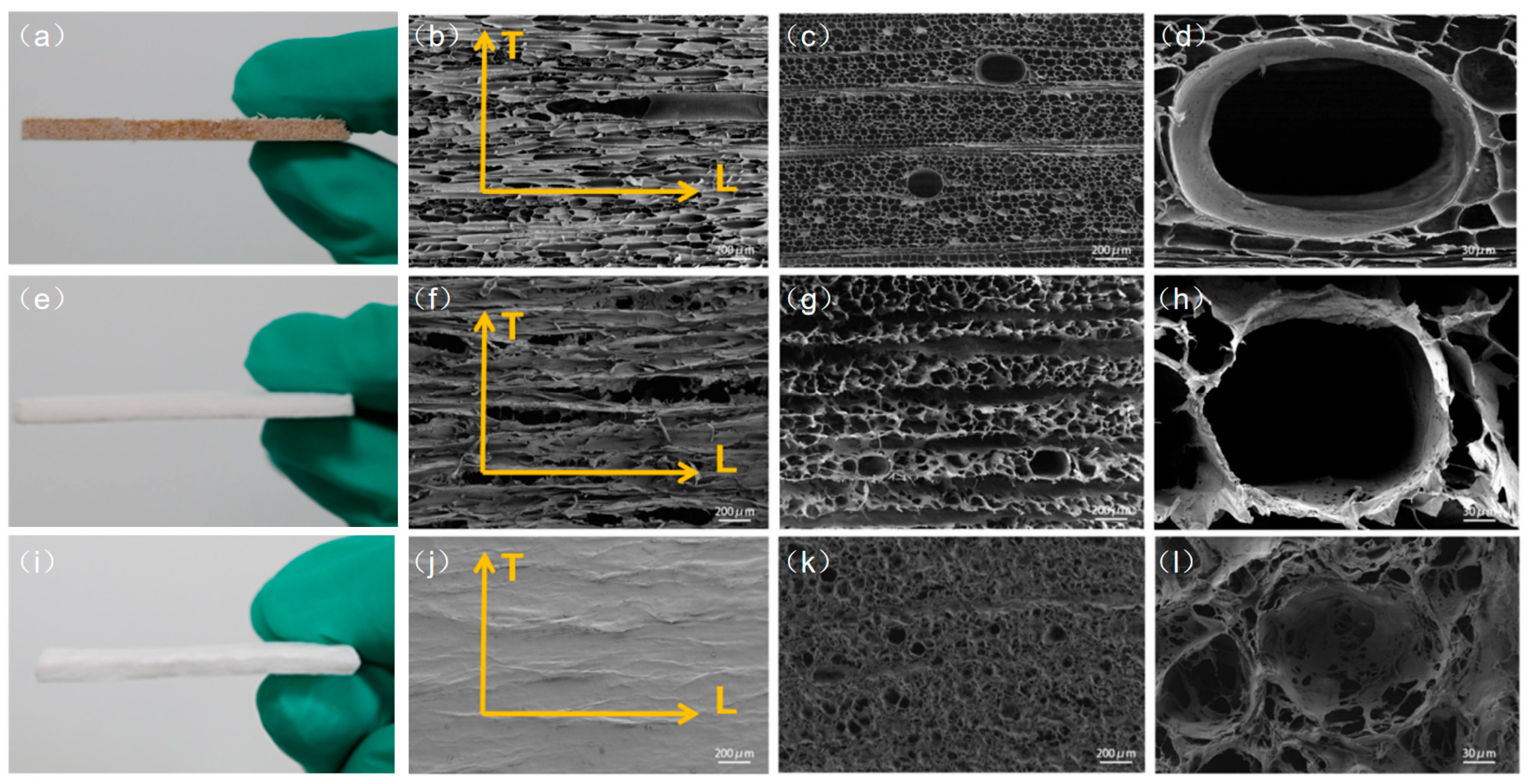 Forests 15 00836 g002