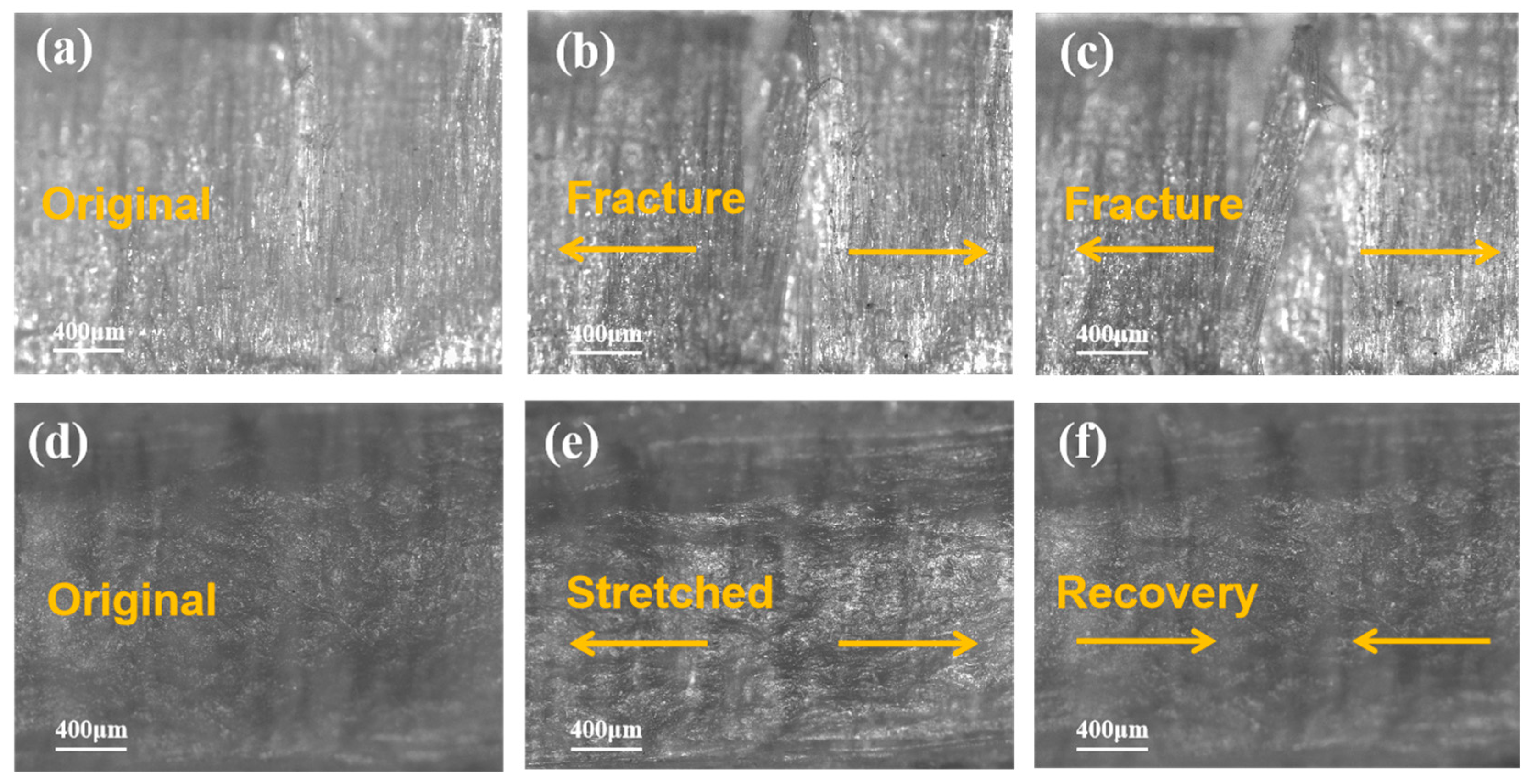 Forests 15 00836 g008