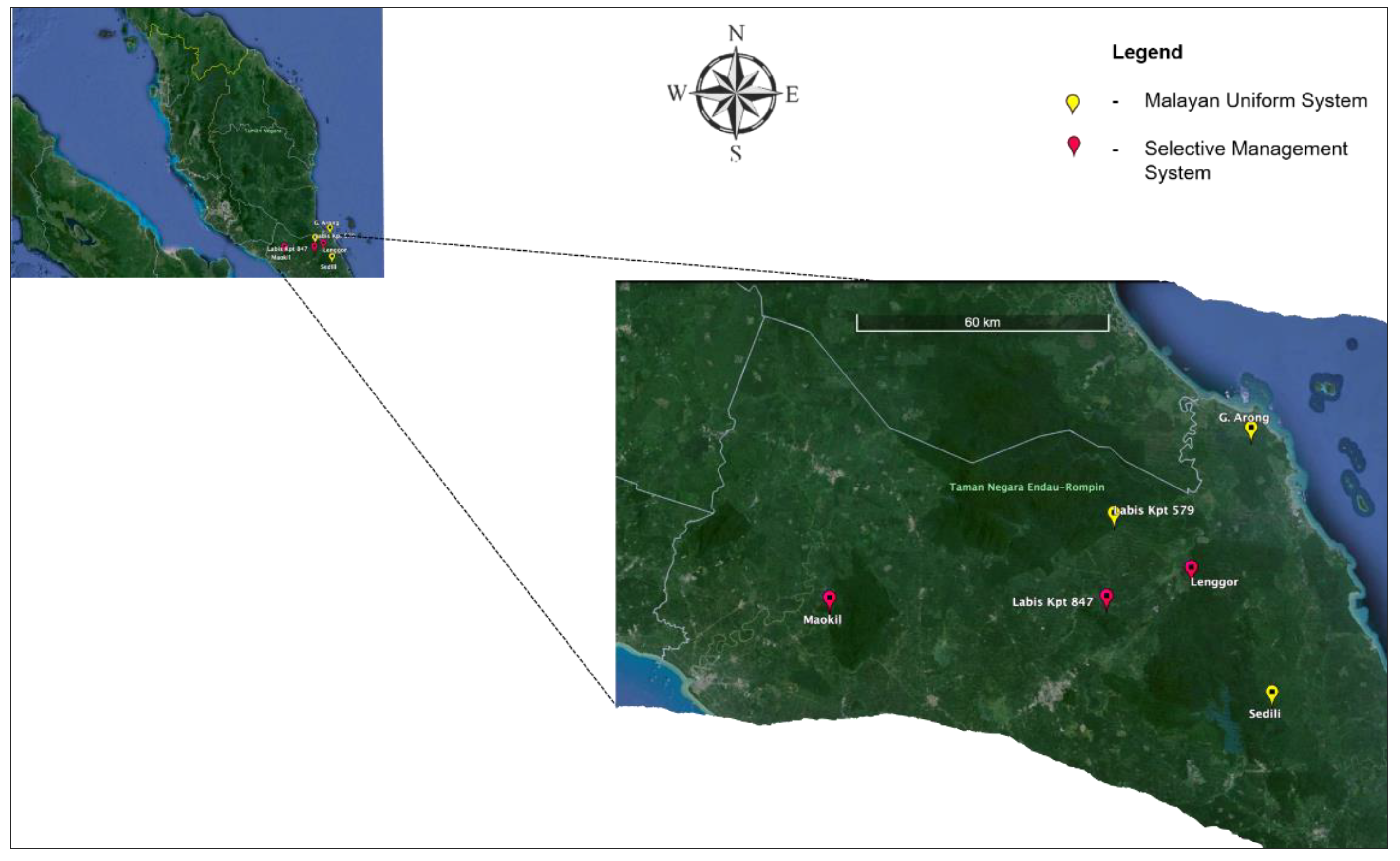 Forests 15 00838 g001