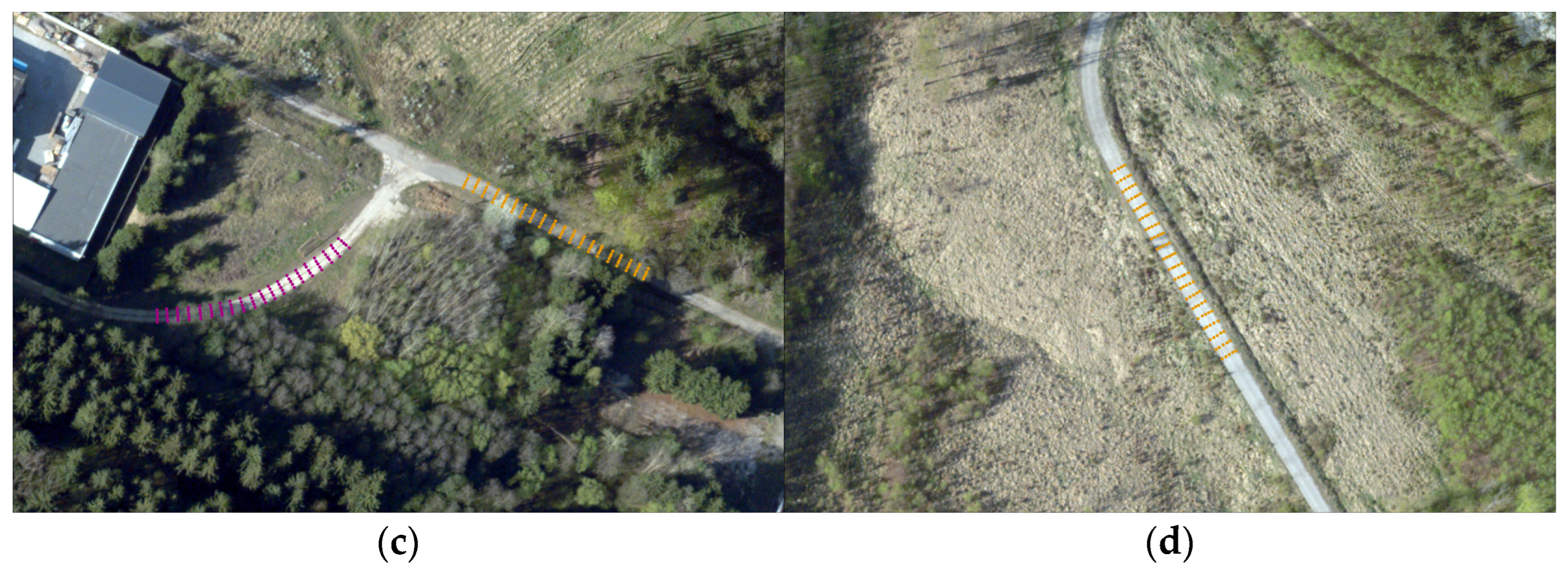 Forests 15 00840 g003b