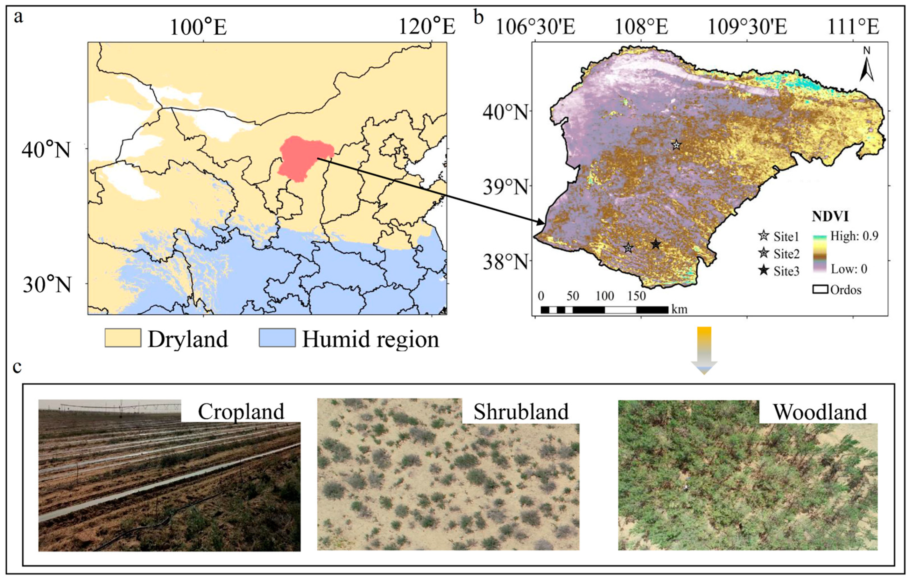 Forests 15 00867 g001