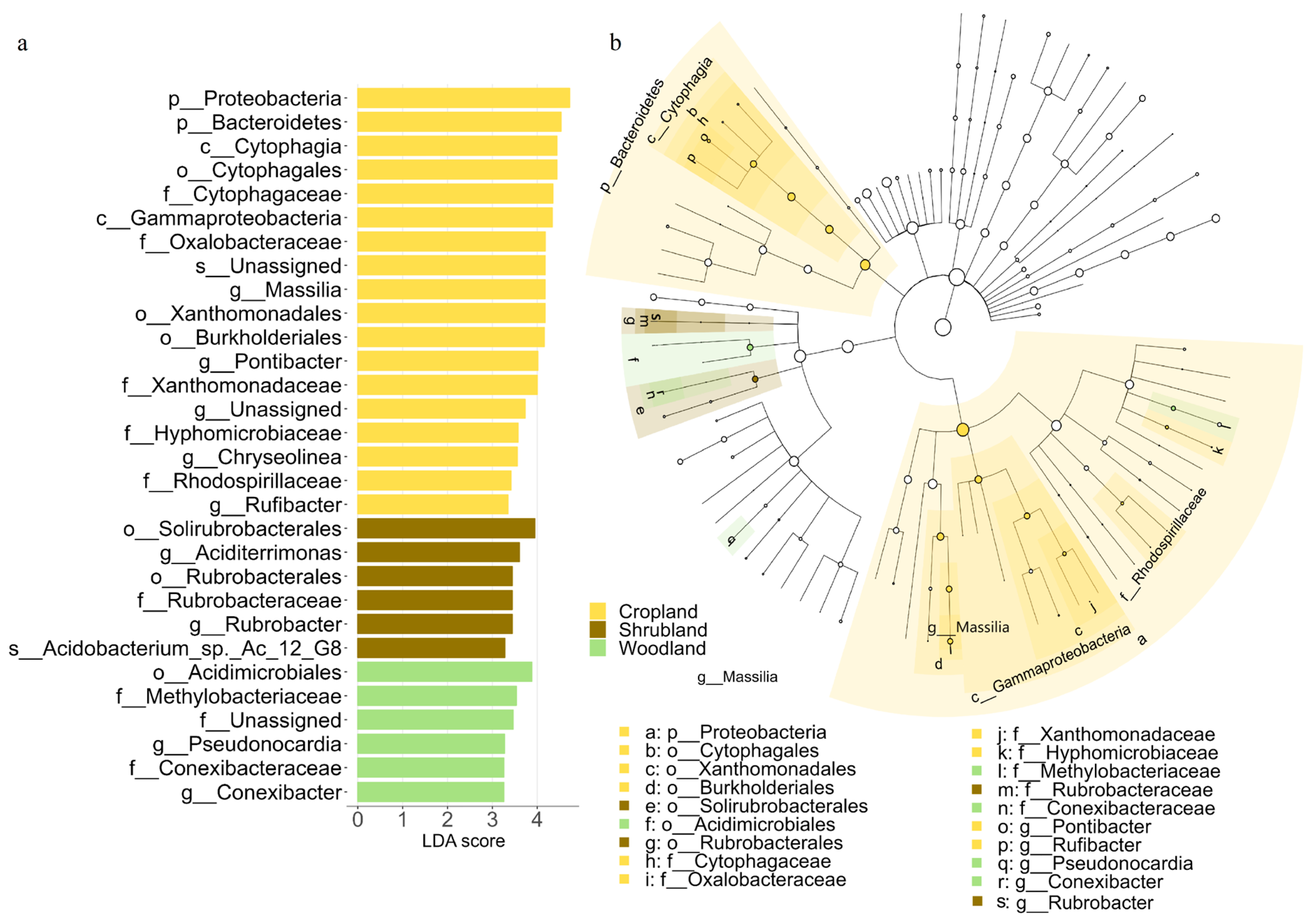 Forests 15 00867 g004