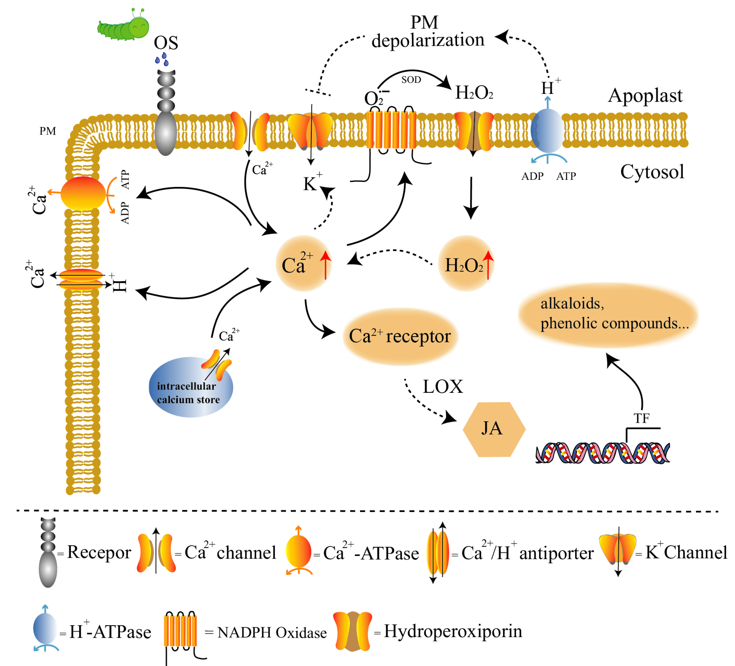Forests 15 00890 g002