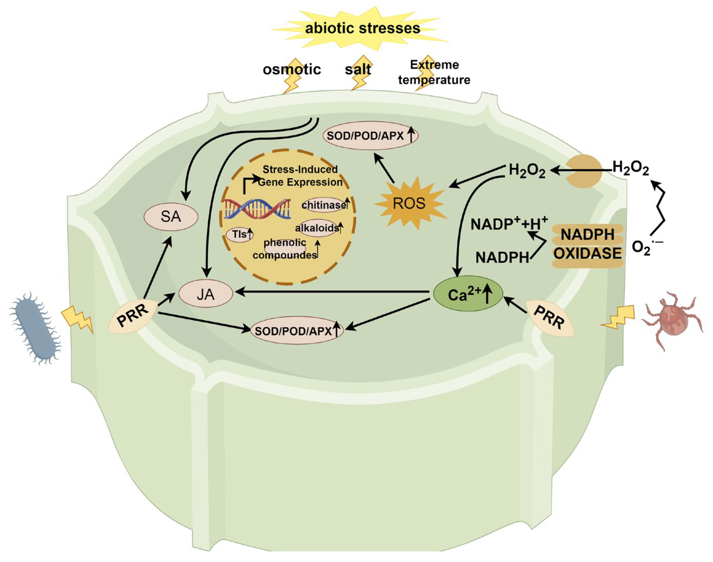 Forests 15 00890 g003