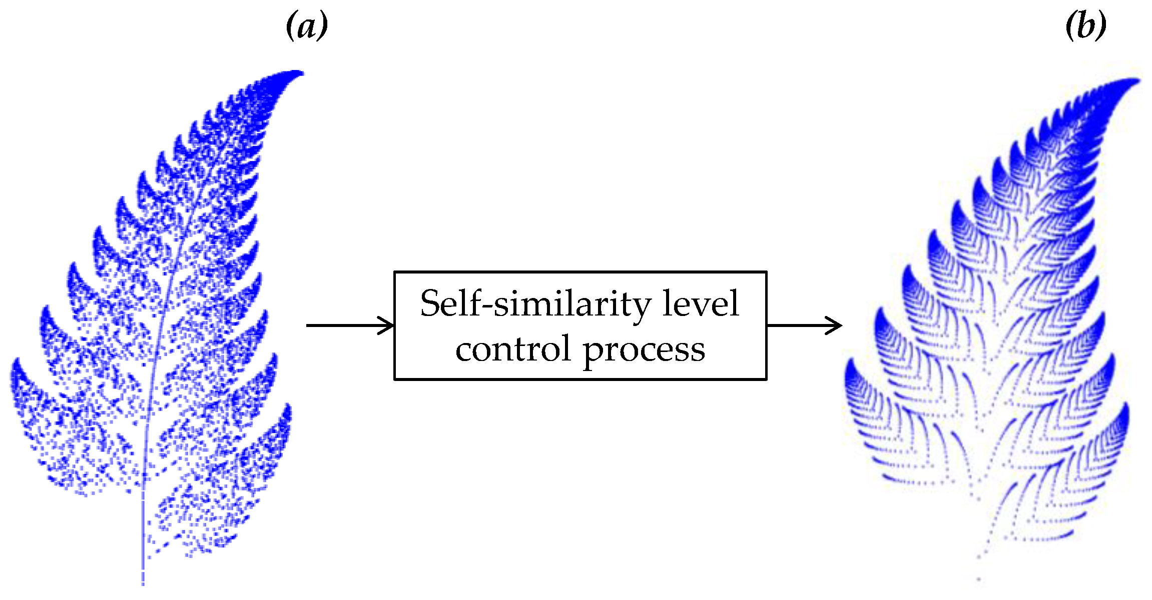 Fractalfract 05 00040 g005