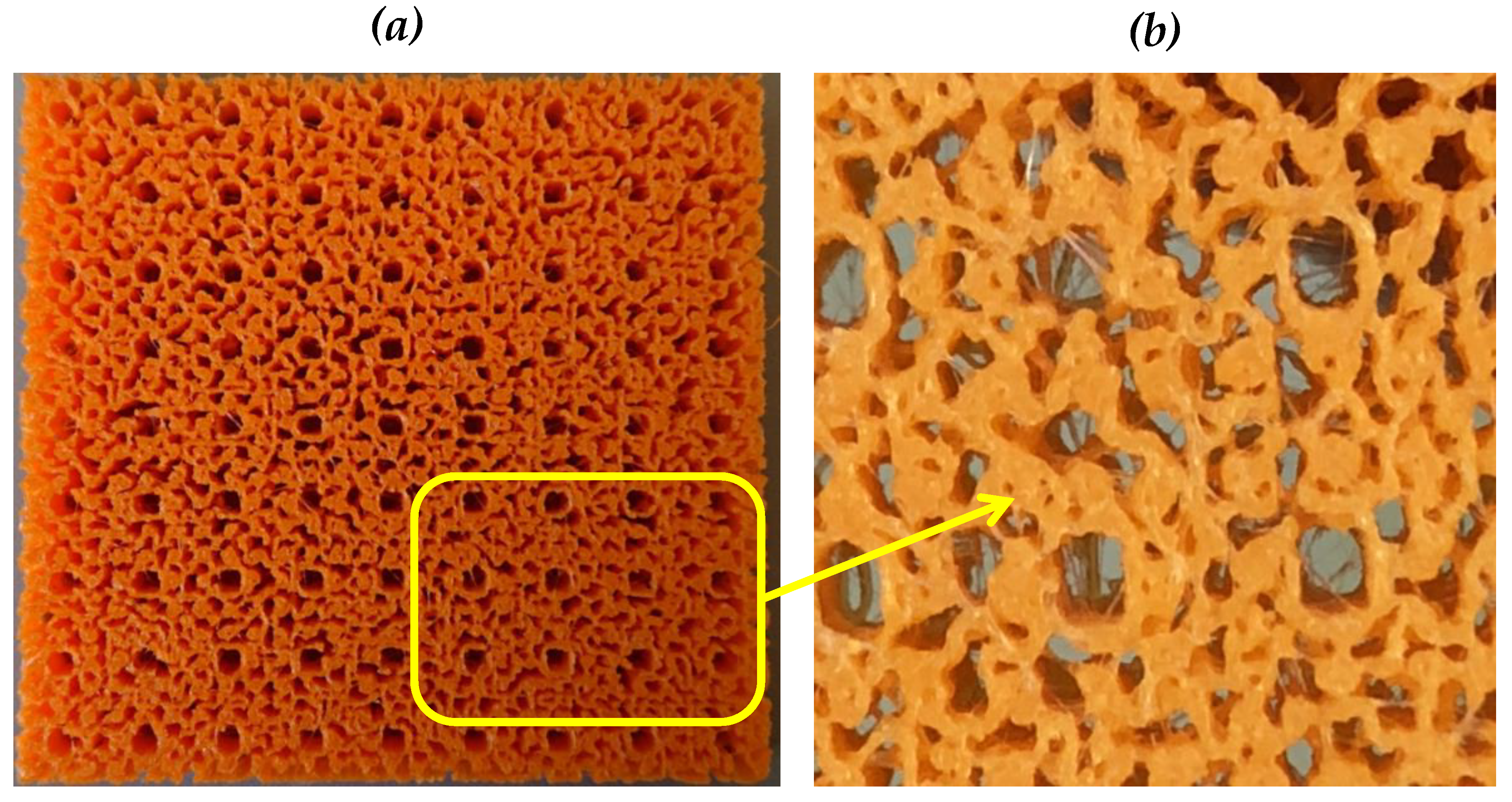 Fractalfract 05 00040 g014