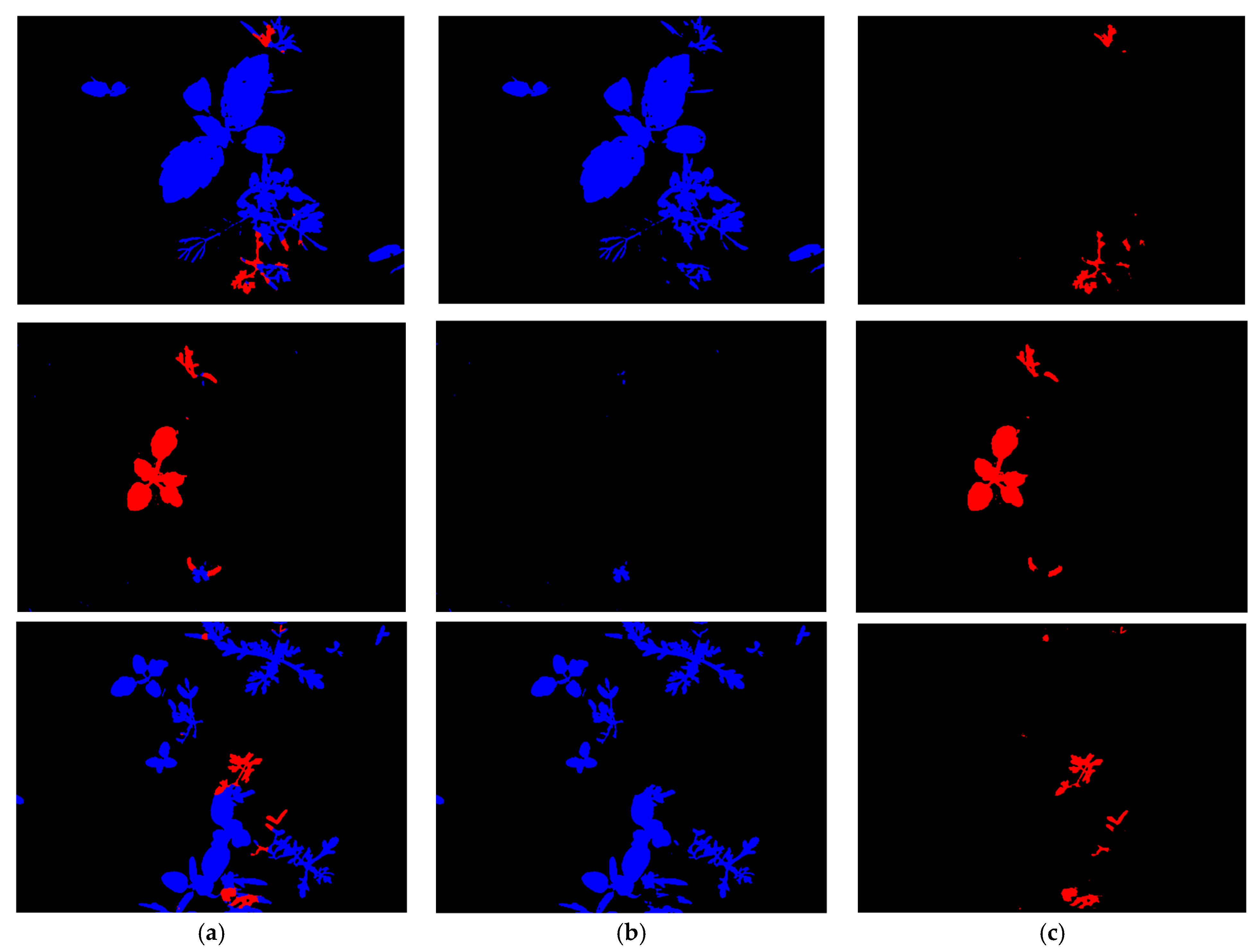 Fractal Fract Free Full Text Crop And Weed Segmentation And Fractal