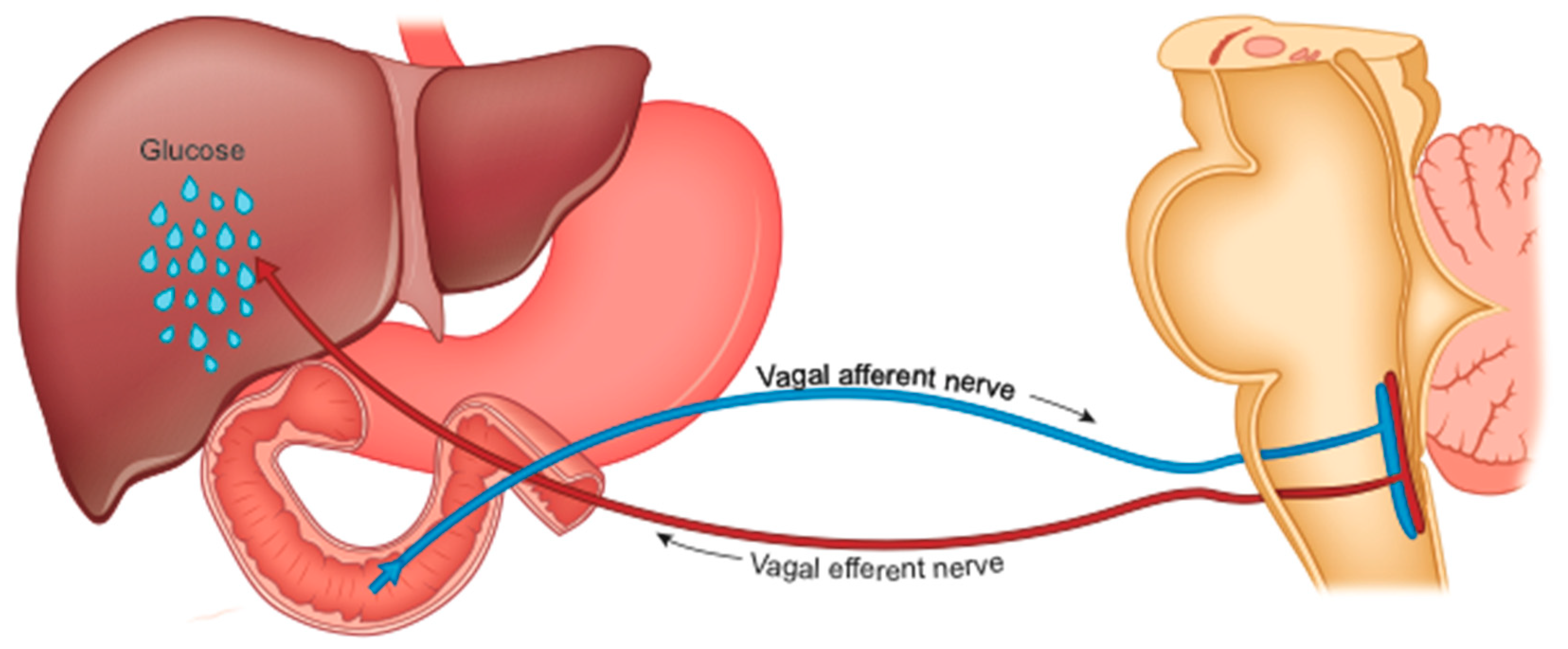 Gastrointestdisord 02 00039 g003 Gastrointestdisord 02 00039 g003