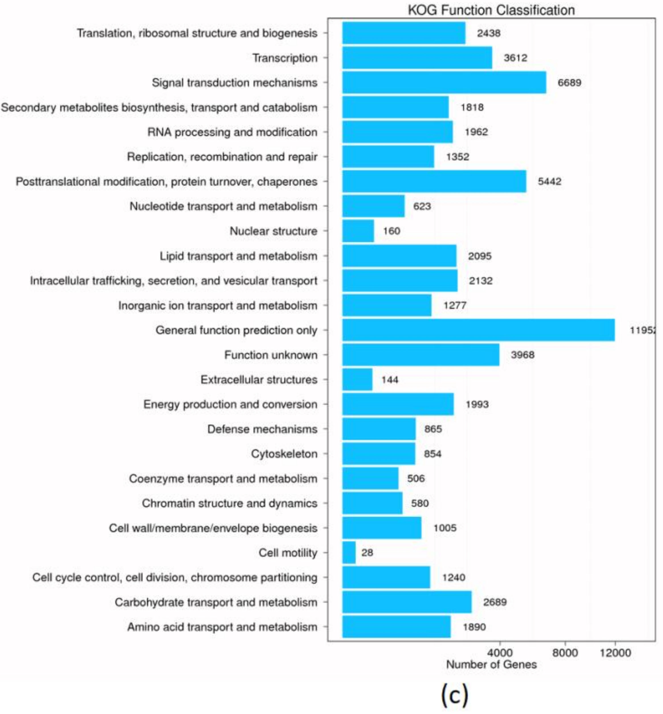 Genes 09 00466 g002b