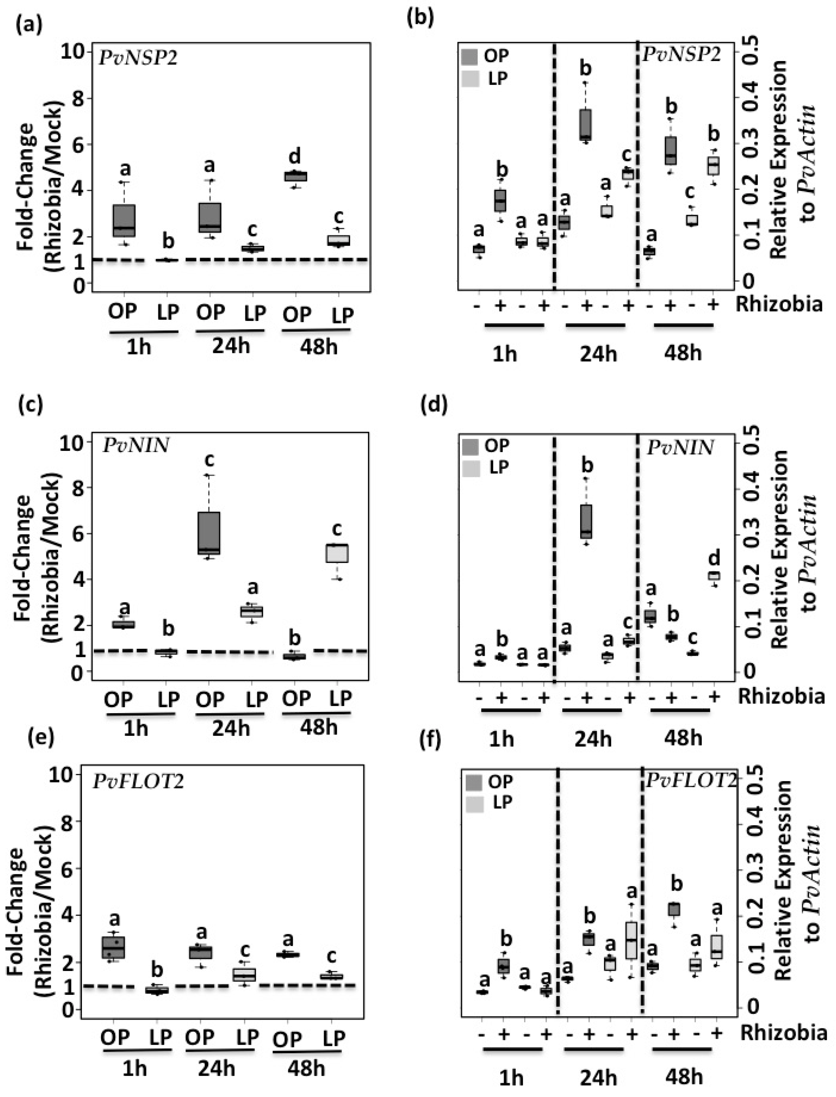 Genes 09 00498 g003 Genes 09 00498 g003