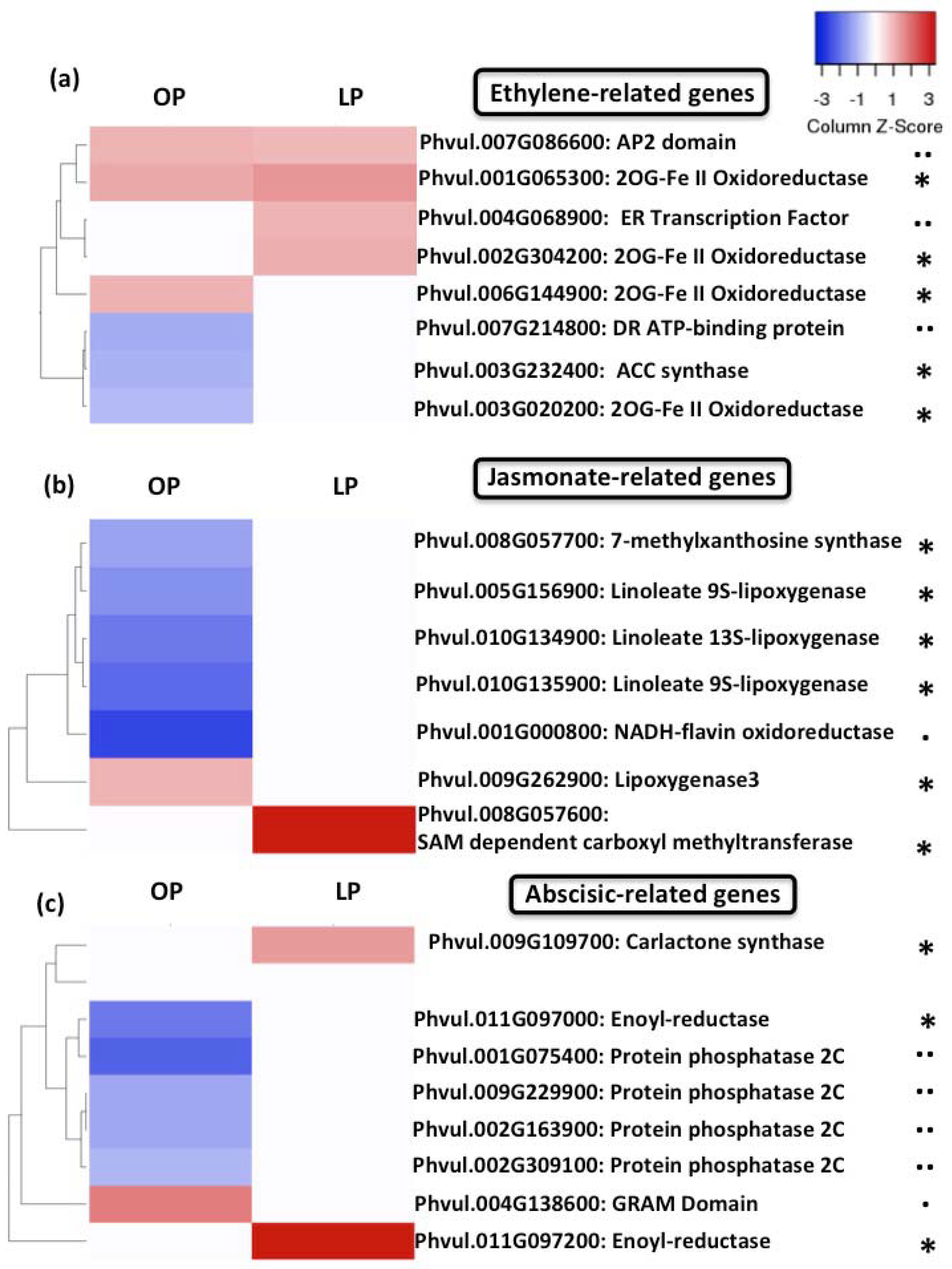 Genes 09 00498 g008 Genes 09 00498 g008