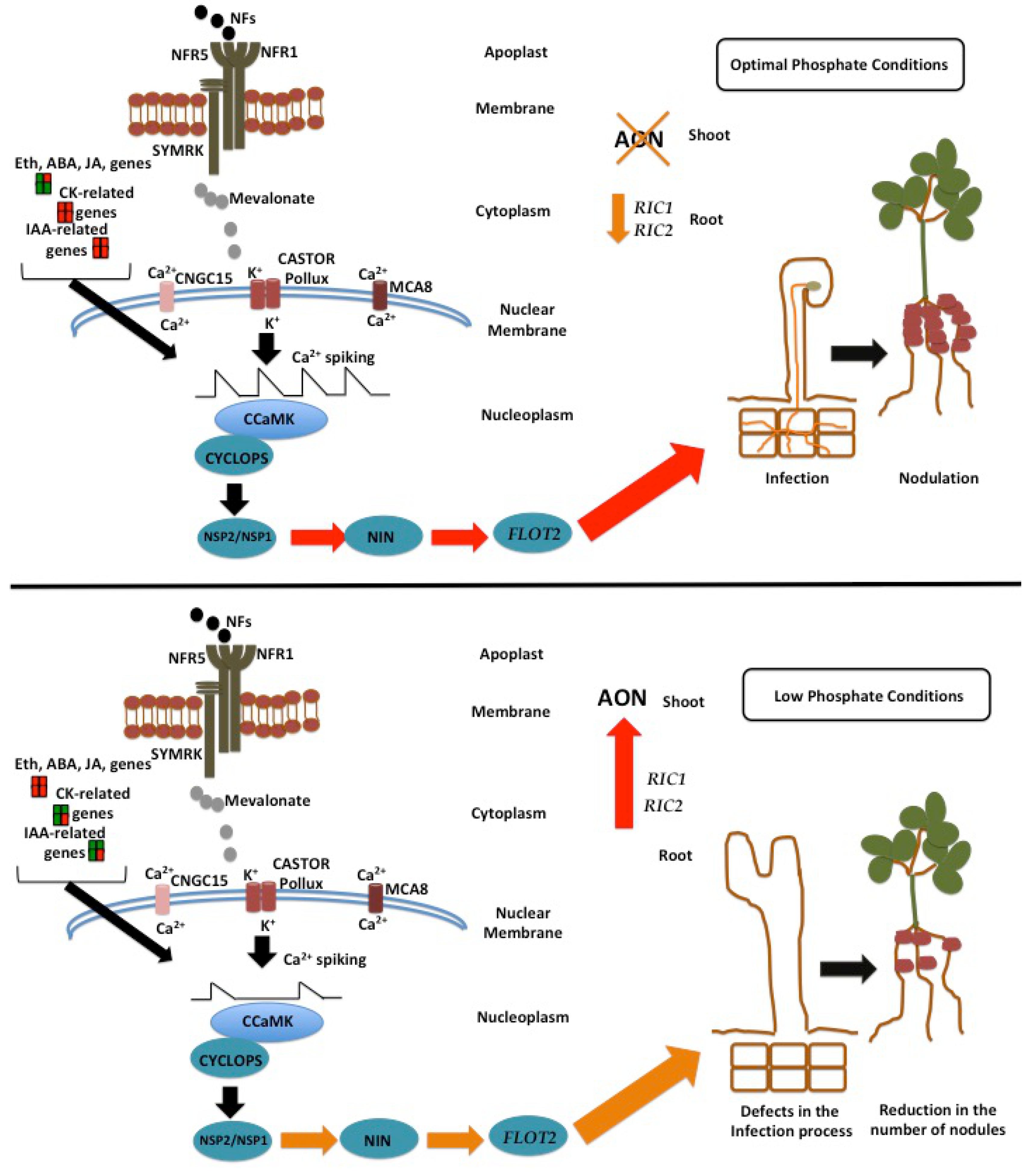 Genes 09 00498 g009 Genes 09 00498 g009