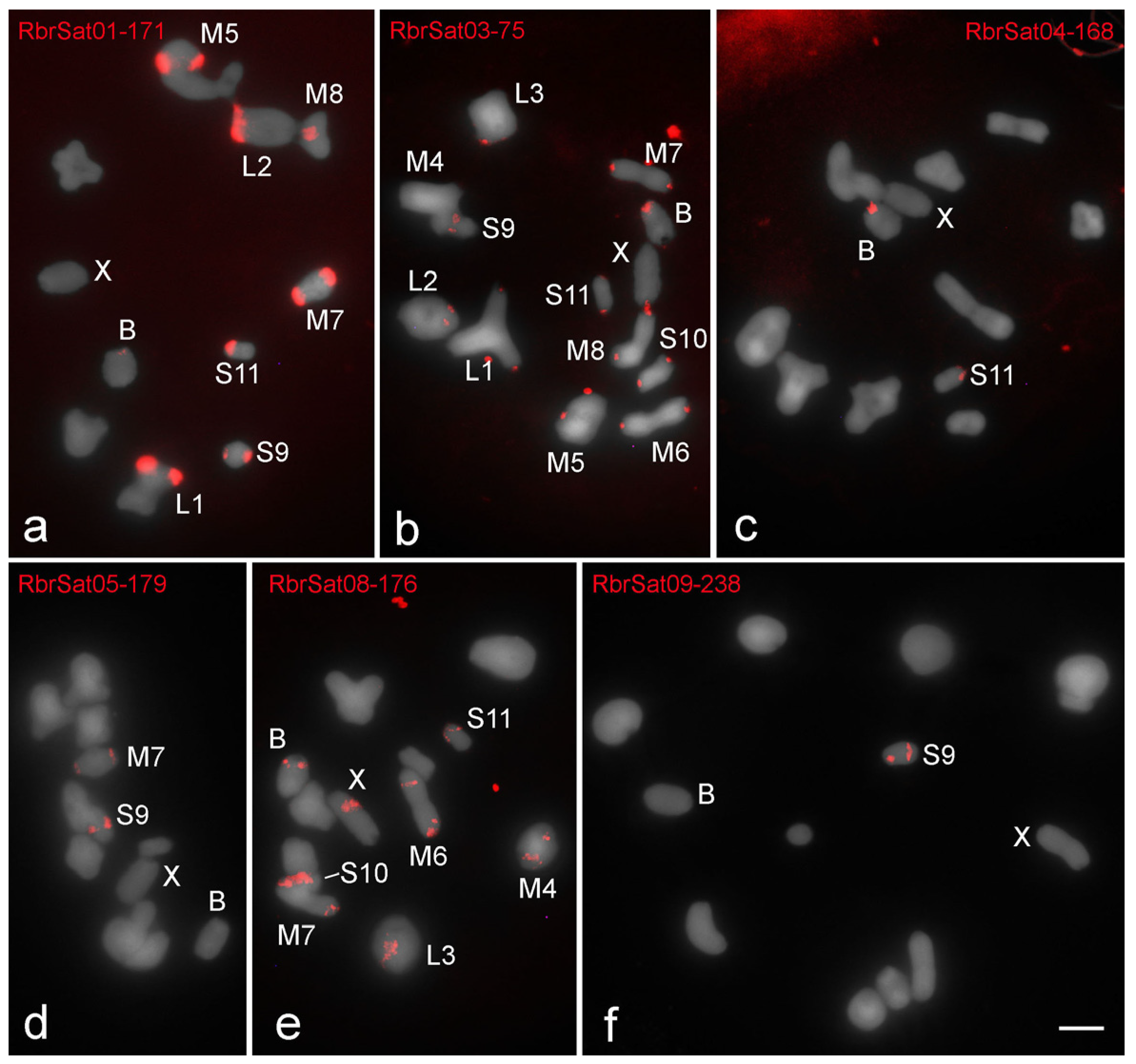 Genes 09 00523 g002 Genes 09 00523 g002