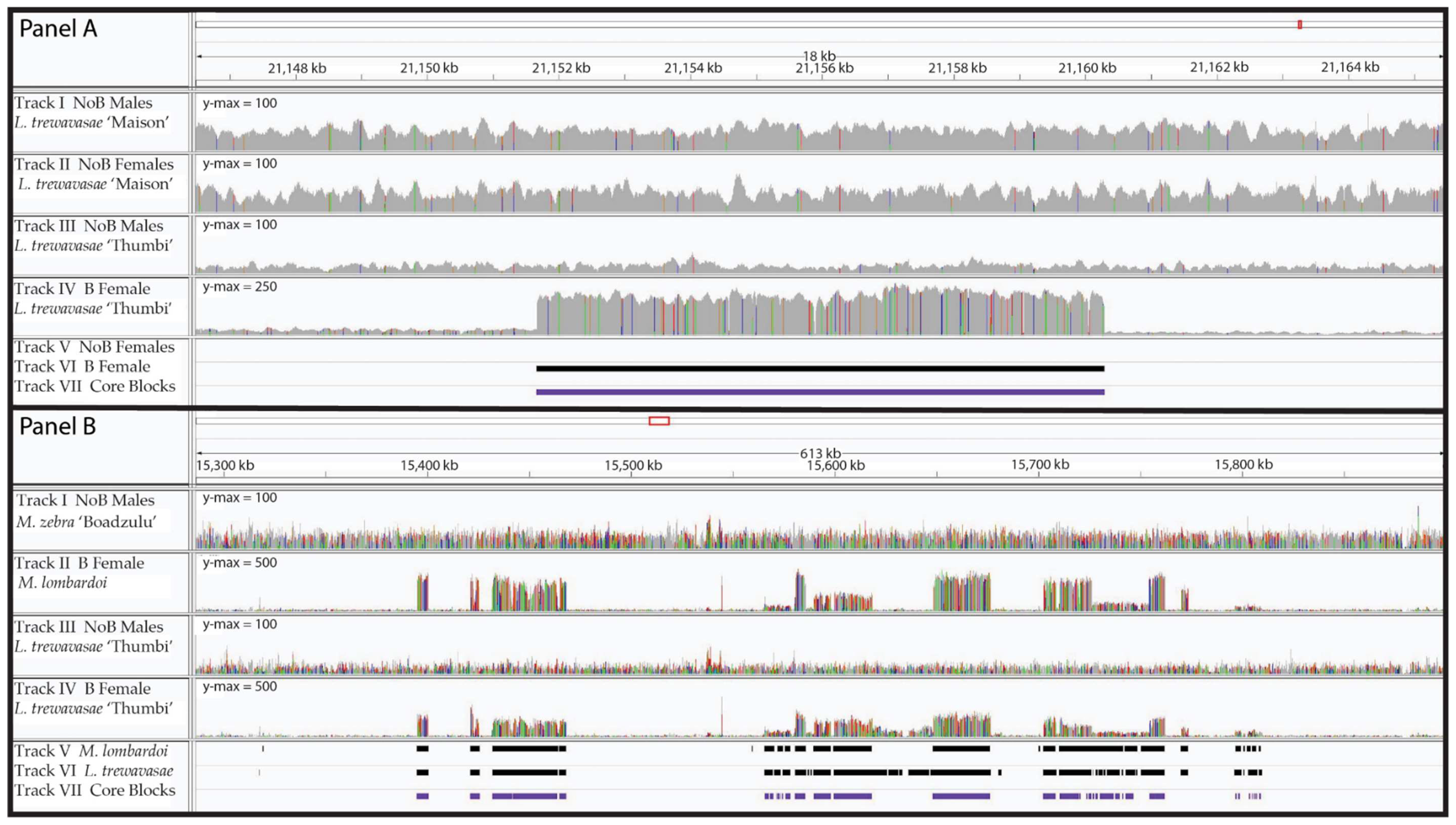 Genes 09 00610 g001 Genes 09 00610 g001