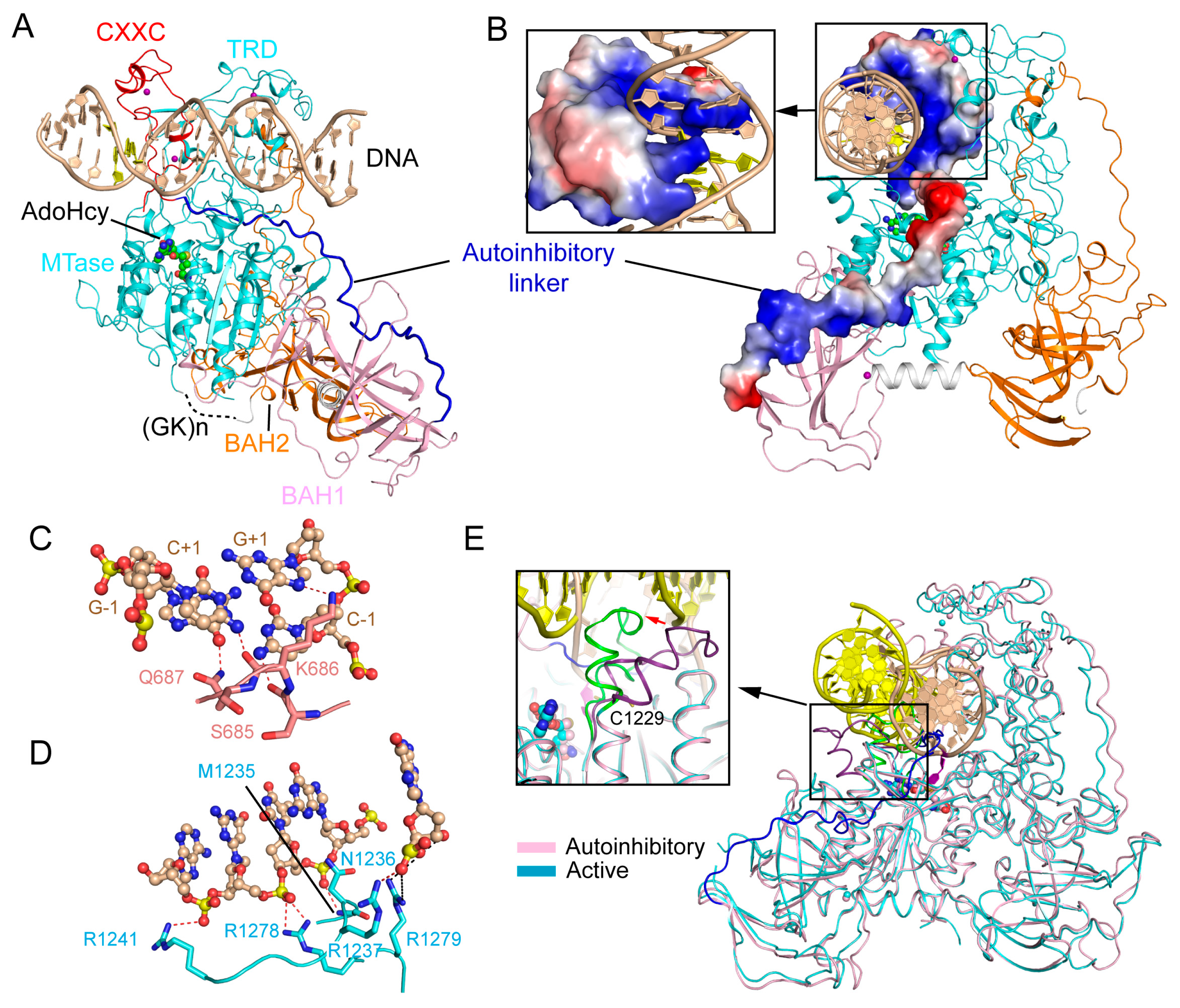 Genes 09 00620 g003 Genes 09 00620 g003