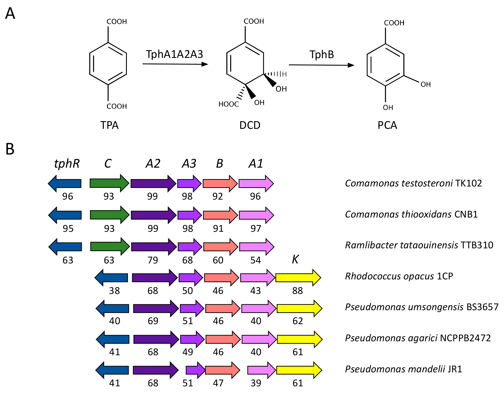 Genes 10 00373 g002