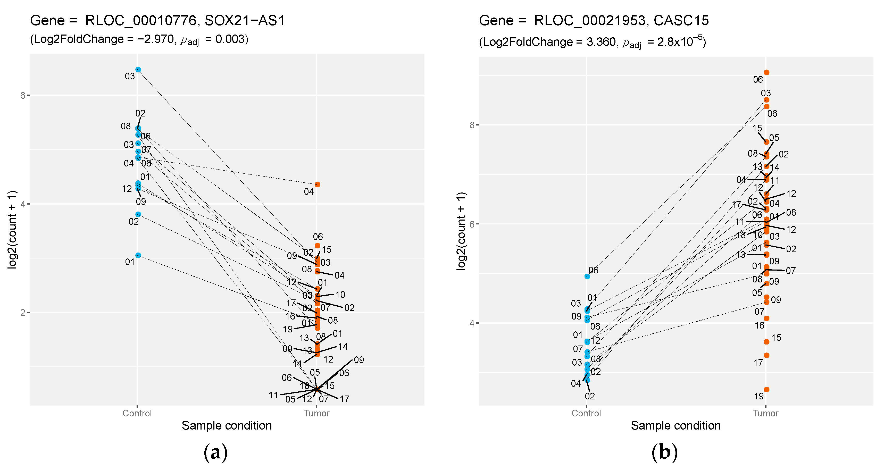 Genes 10 00477 g002 Genes 10 00477 g002