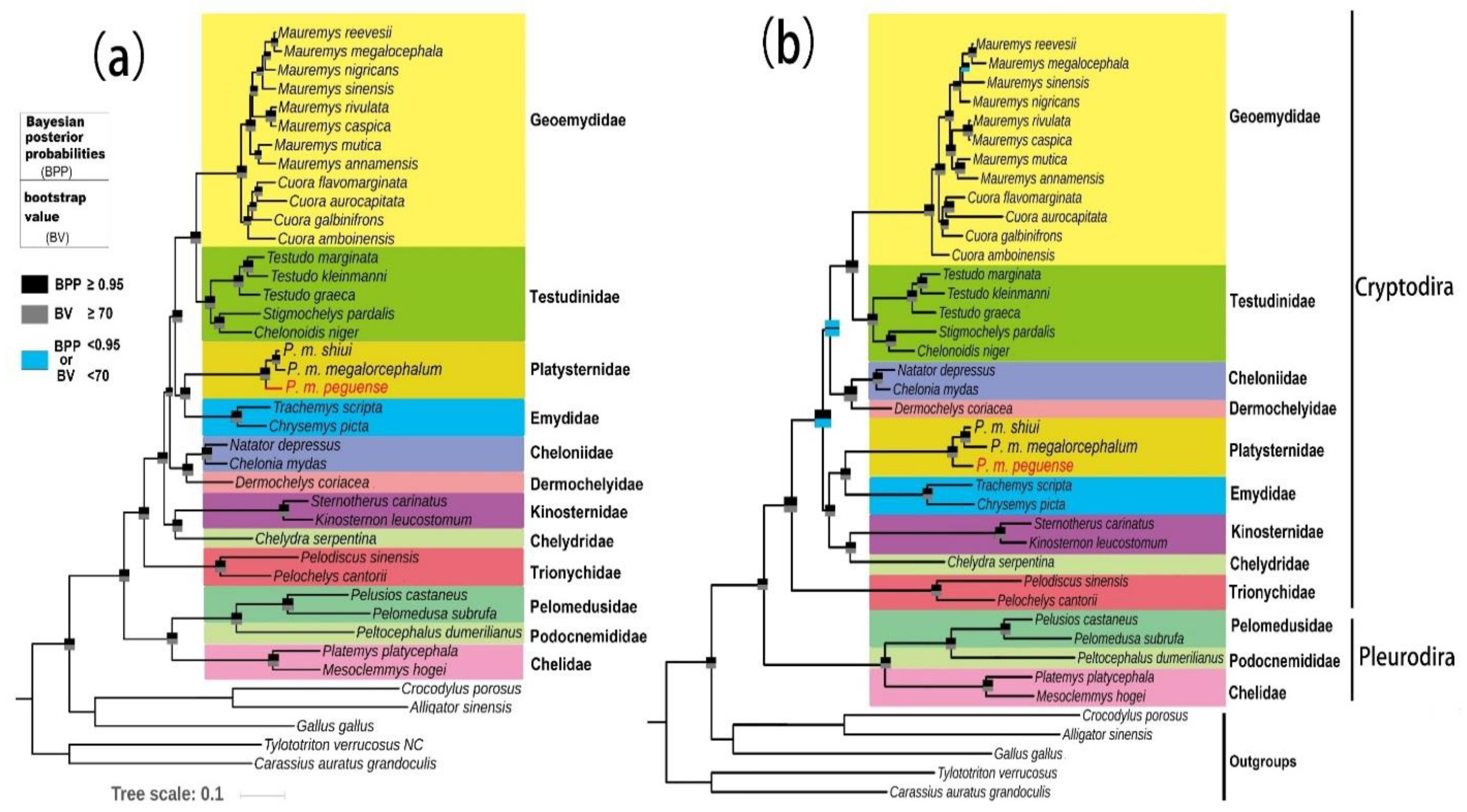 Genes 10 00487 g005