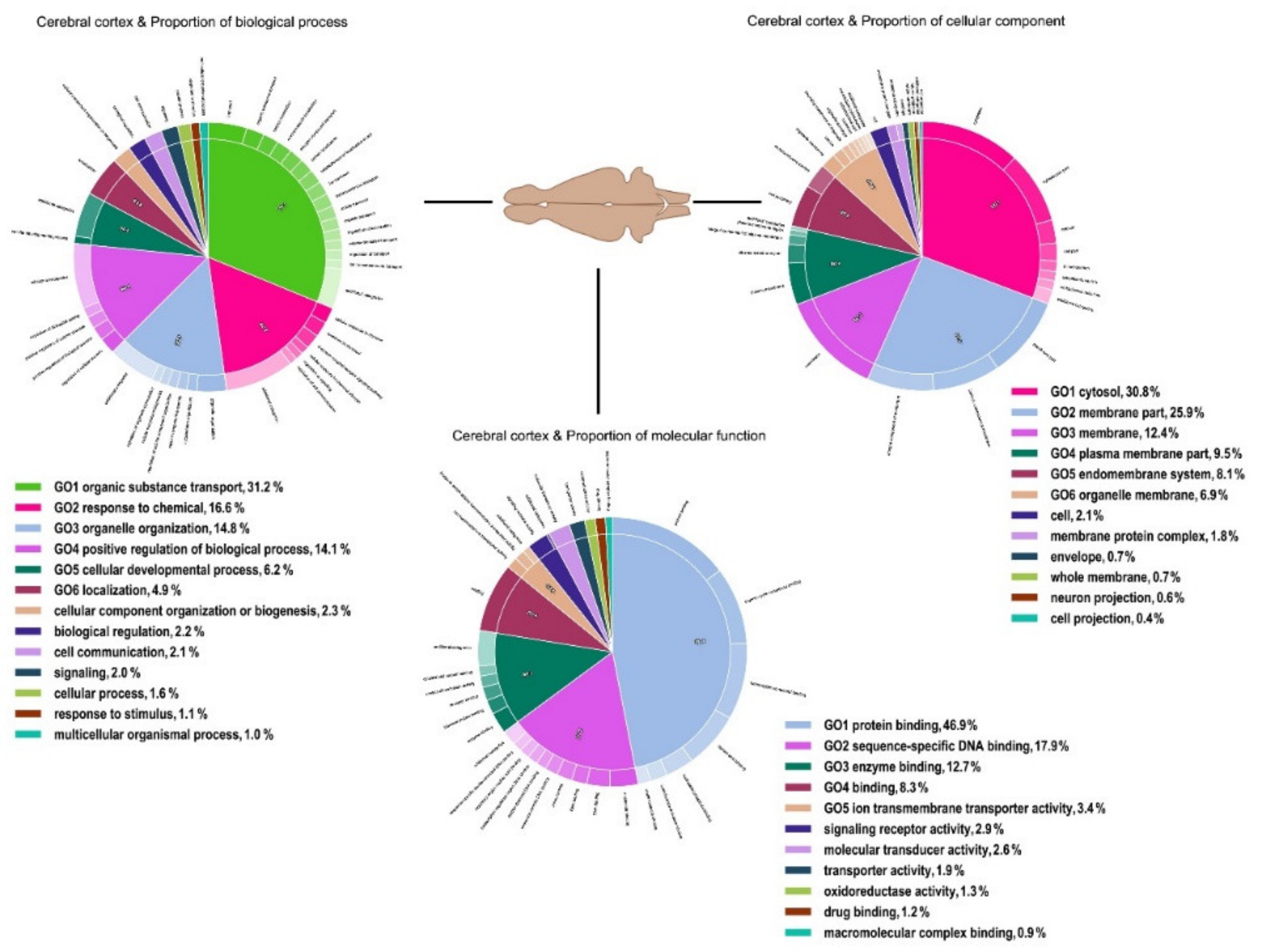 Genes 11 00436 g006