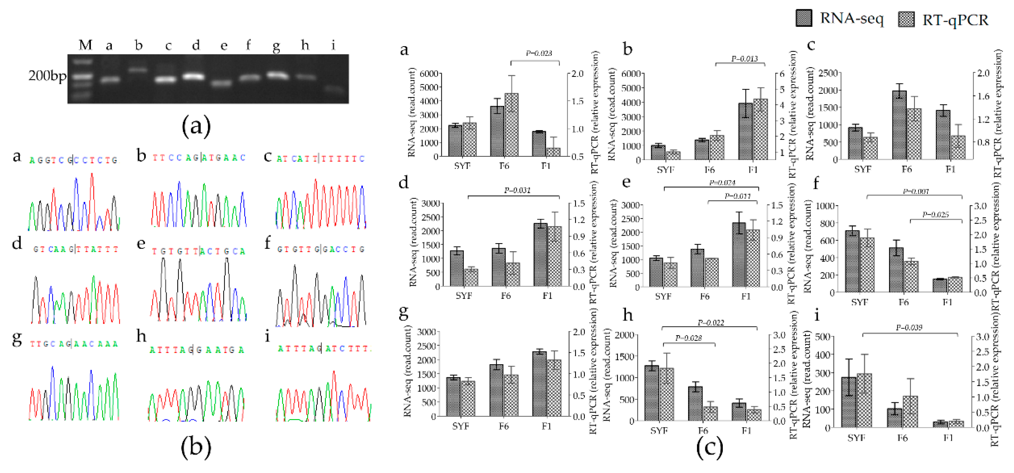 Genes 11 00489 g004 Genes 11 00489 g004