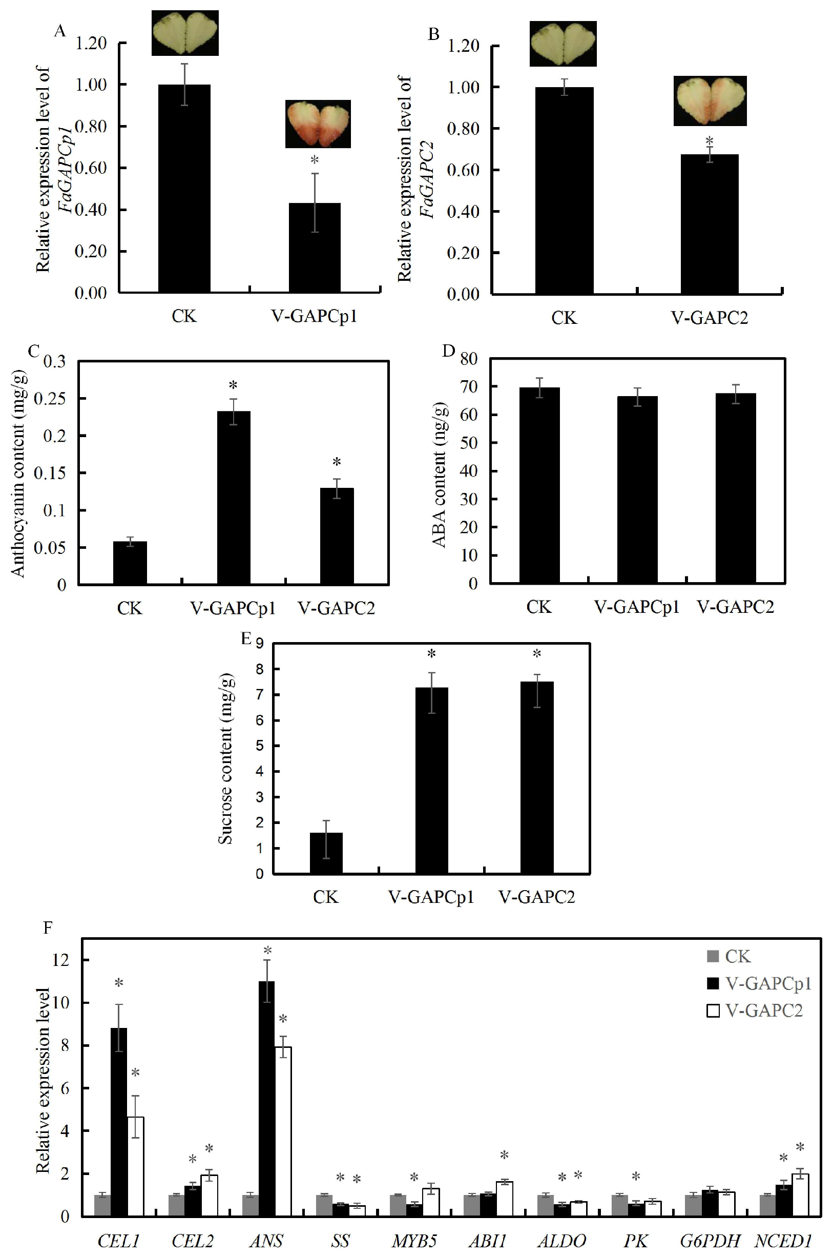 Genes 11 00580 g005