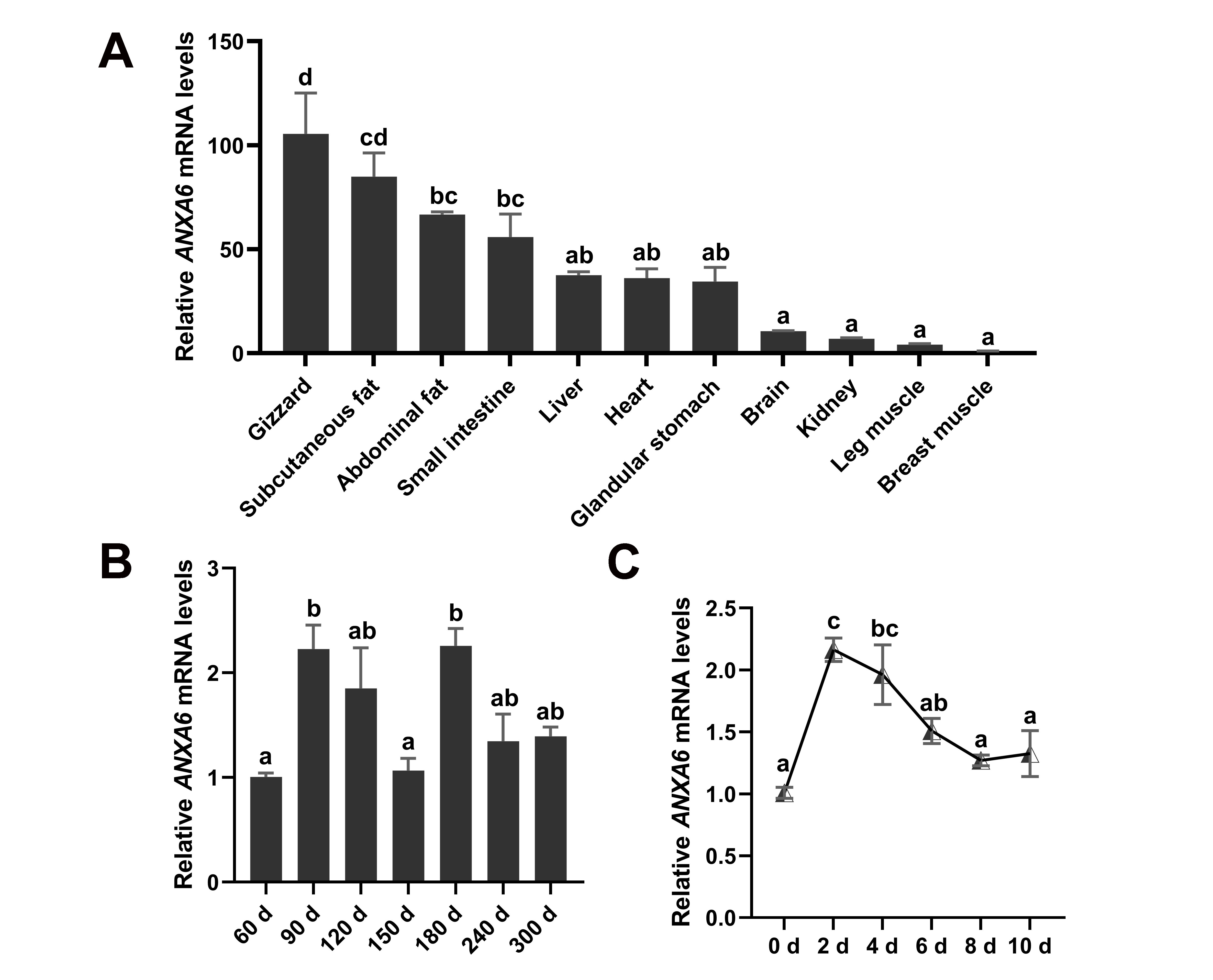 Genes 13 00635 g001