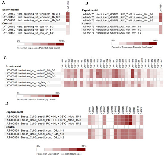 Genes Free Full Text Genome Wide Evolutionary Analysis Of Putative