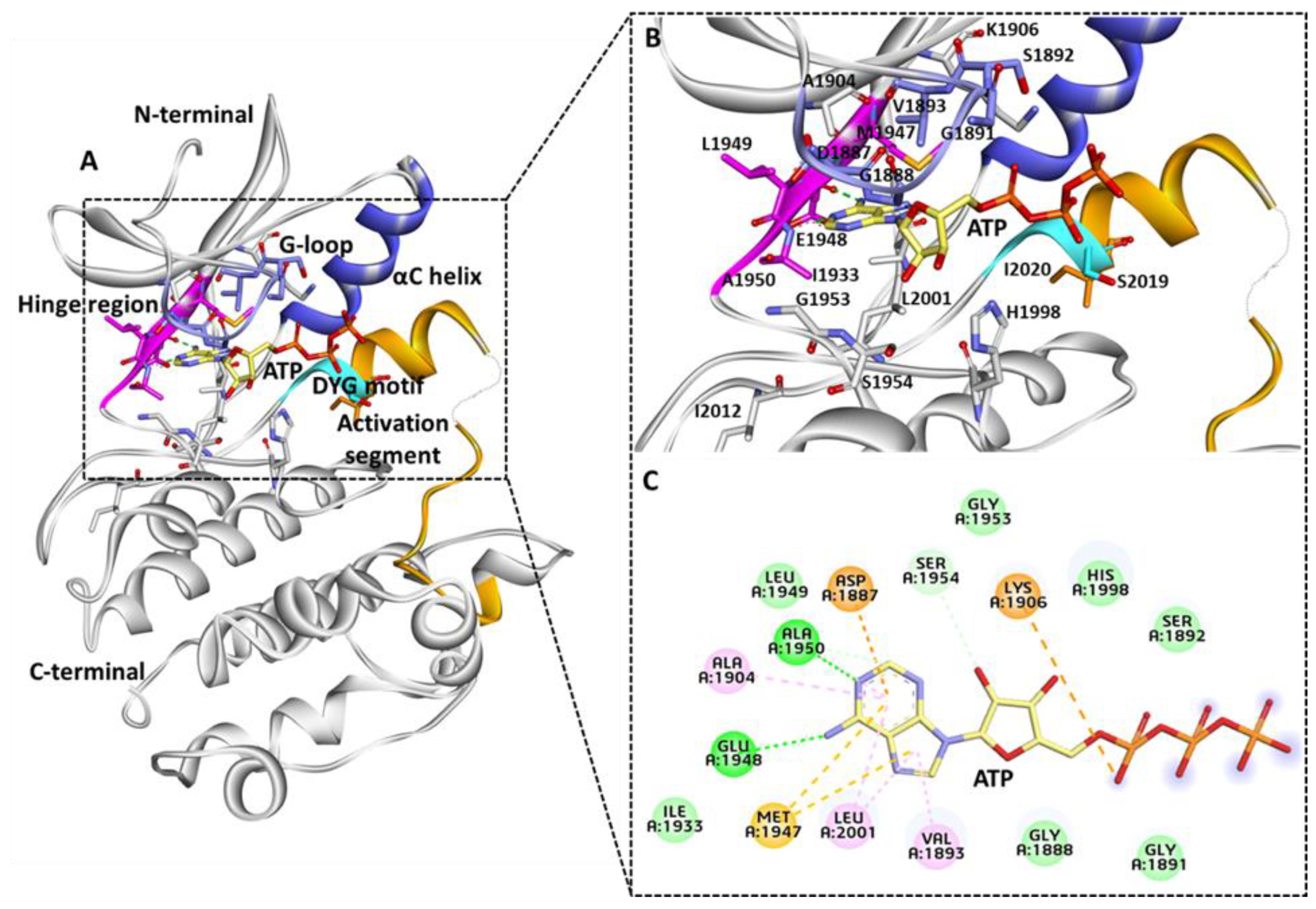 Genes 13 01426 g002 Genes 13 01426 g002