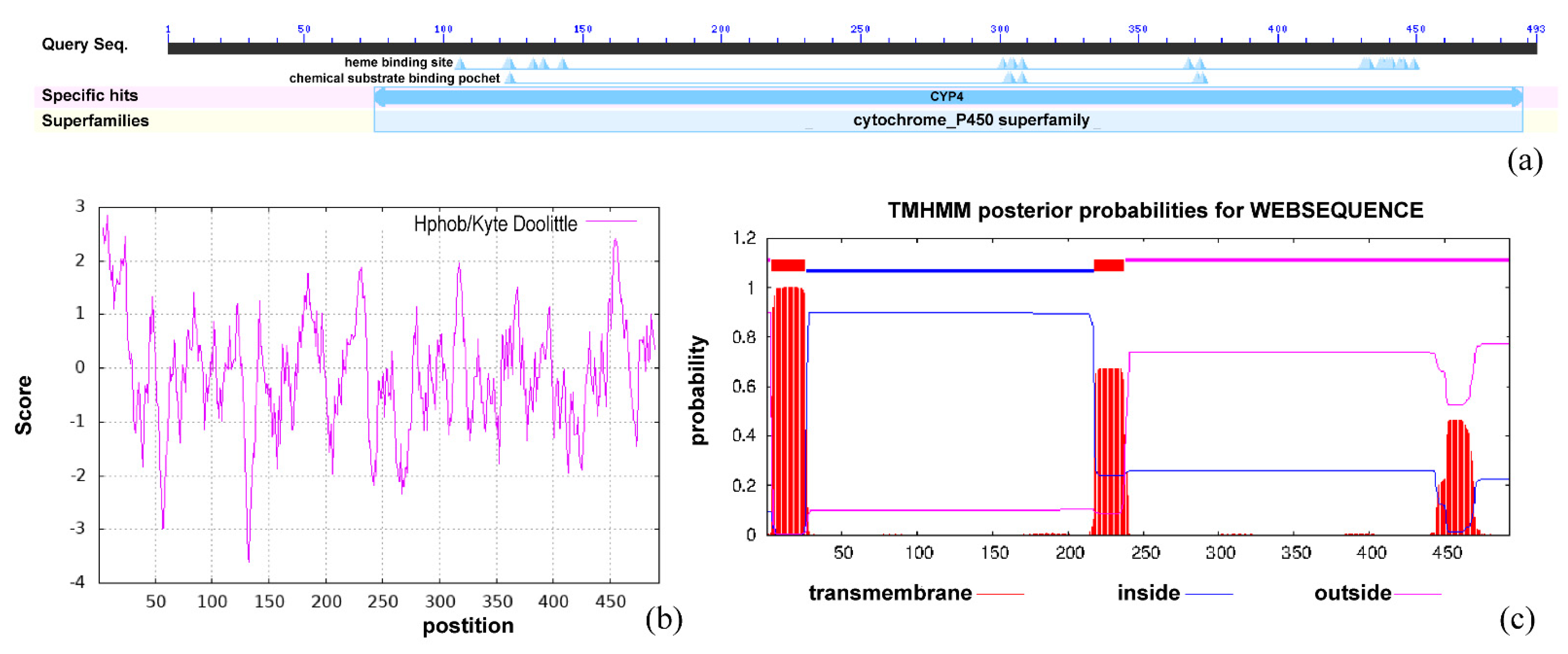Genes 13 01956 g002
